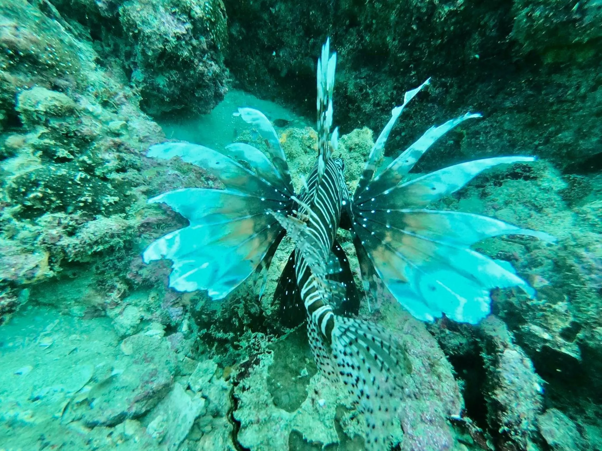 Mook Montra Resort Sea Front