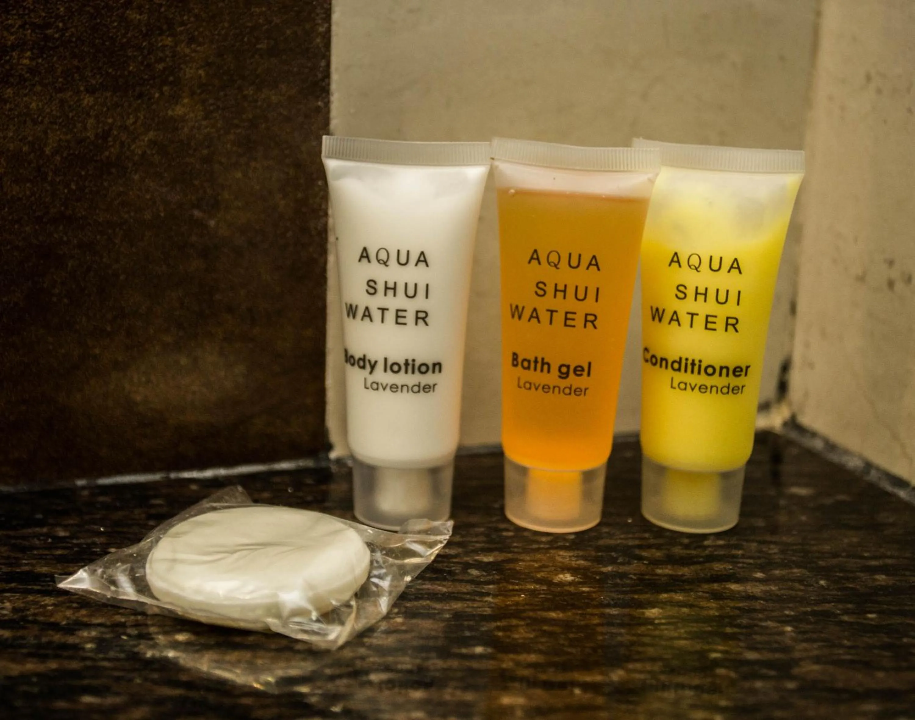 Area and facilities in Hotel Encounter Nepal & Spa