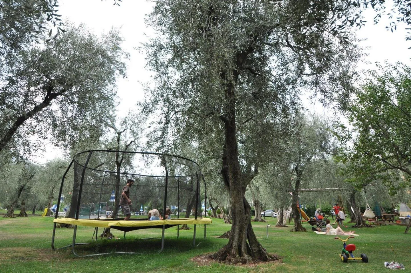 Garden in Hotel Casa Chincarini