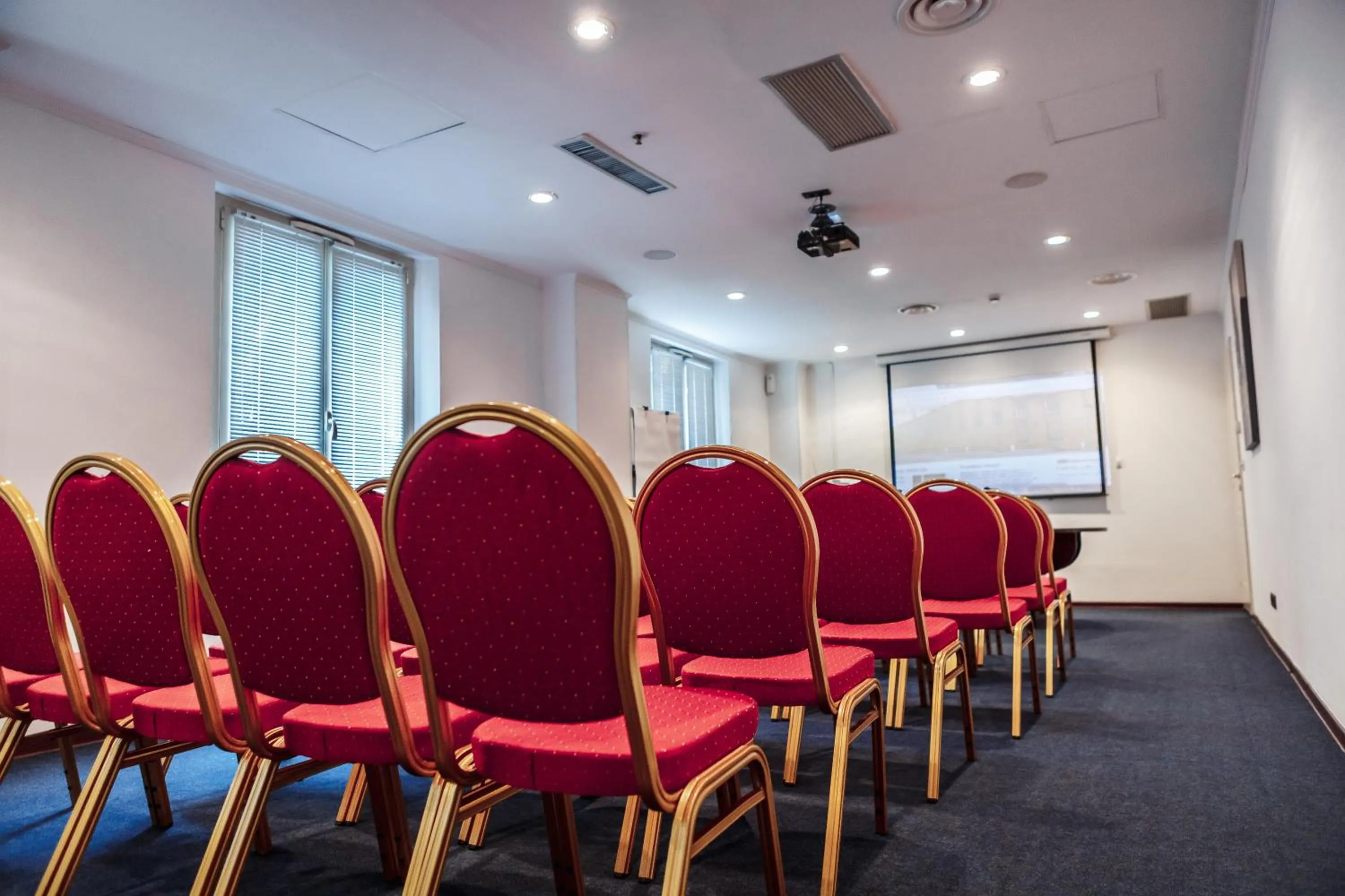 Business facilities in Hotel Pushkin