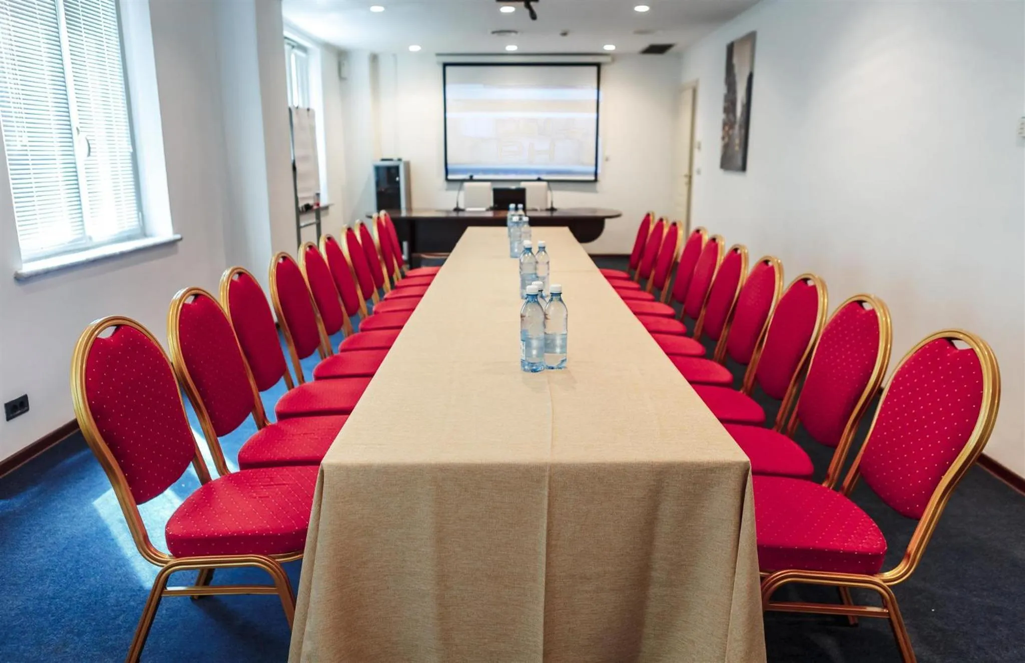 Business facilities in Hotel Pushkin
