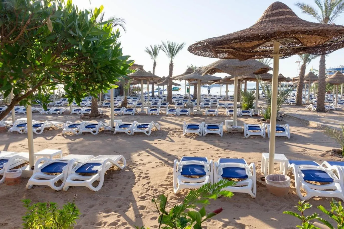 Cataract Resort & Aqua Park Naama Bay