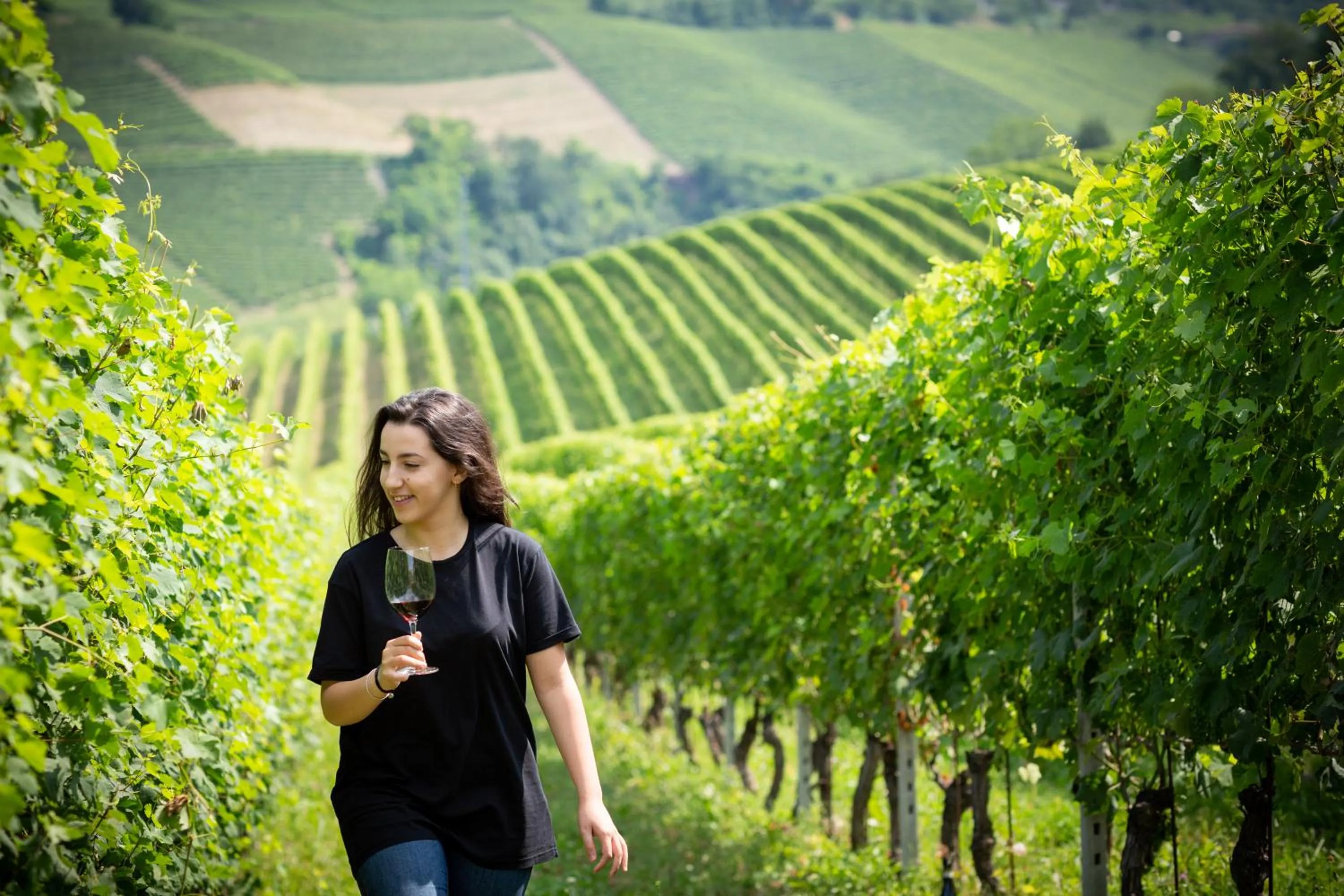 Bird's eye view in Tenuta Baràc