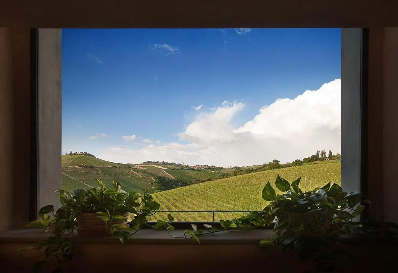 Day in Tenuta Baràc