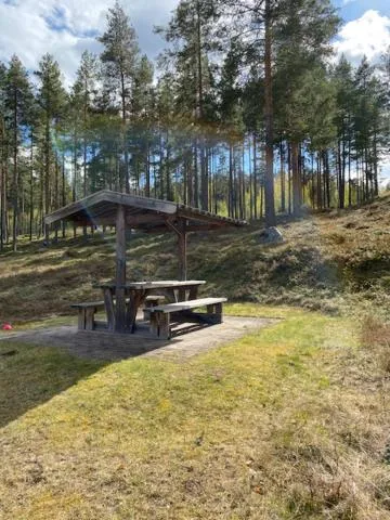 Natural landscape in Hotell Moskogen