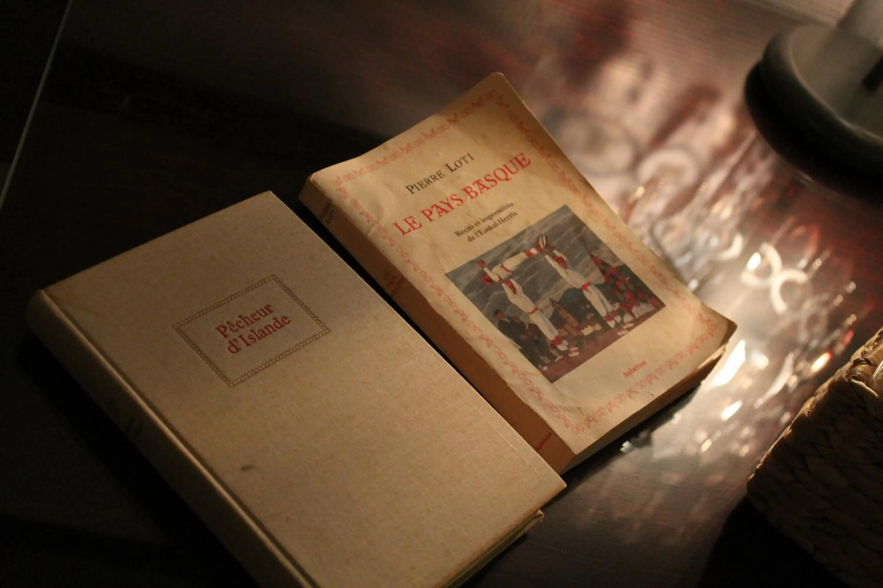 Library in Hôtel de la Rhune