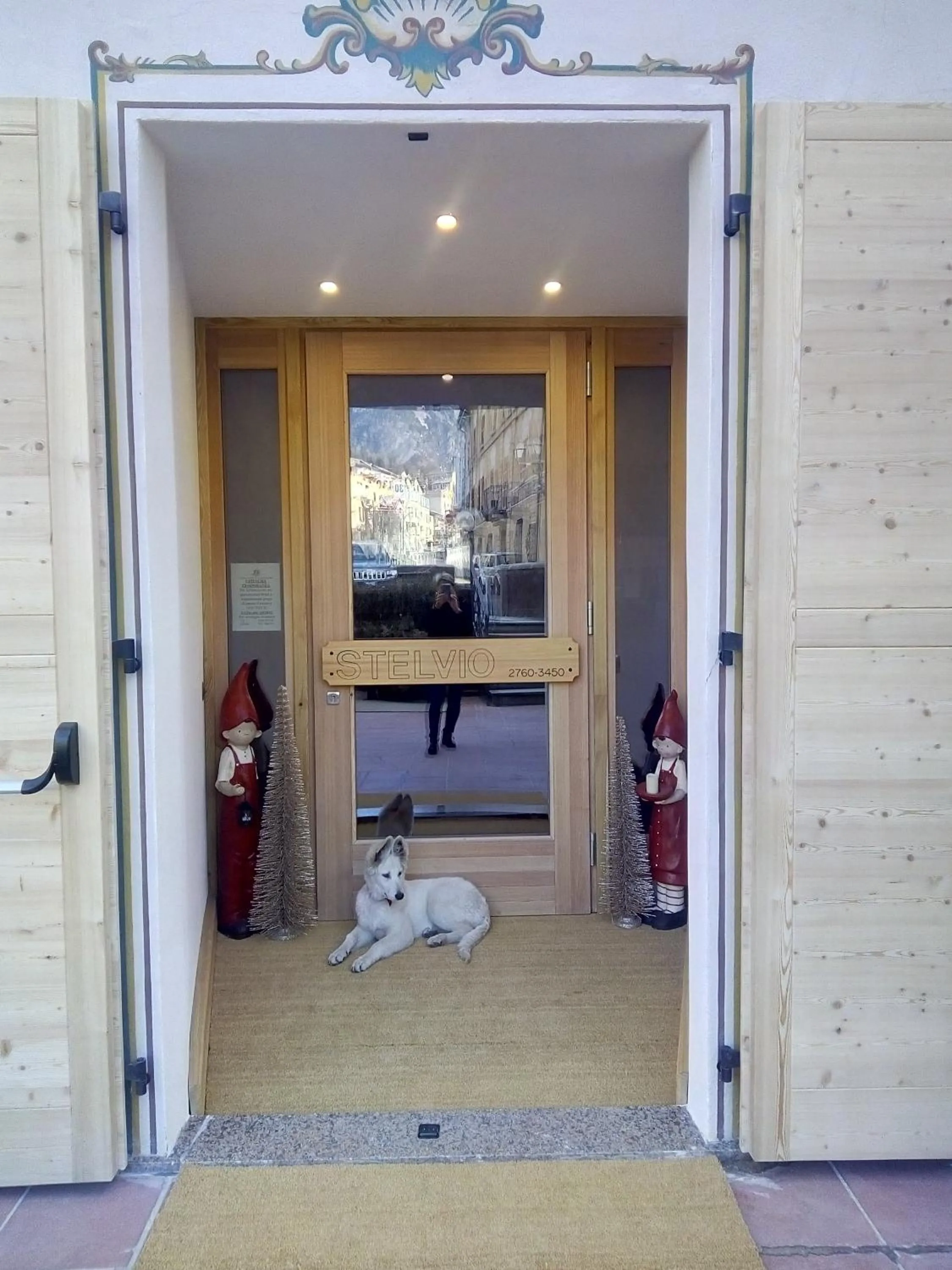 Pets in Albergo Stelvio