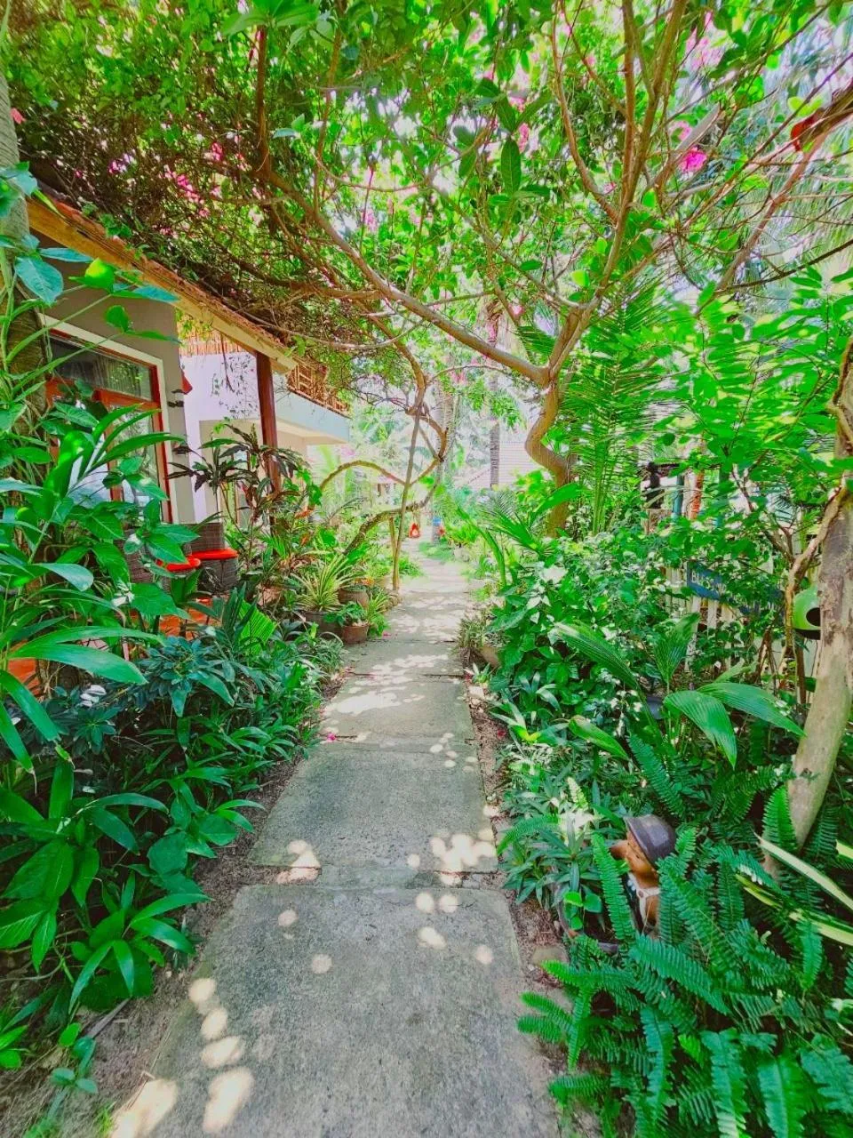 Double Room in Casa Beach Resort