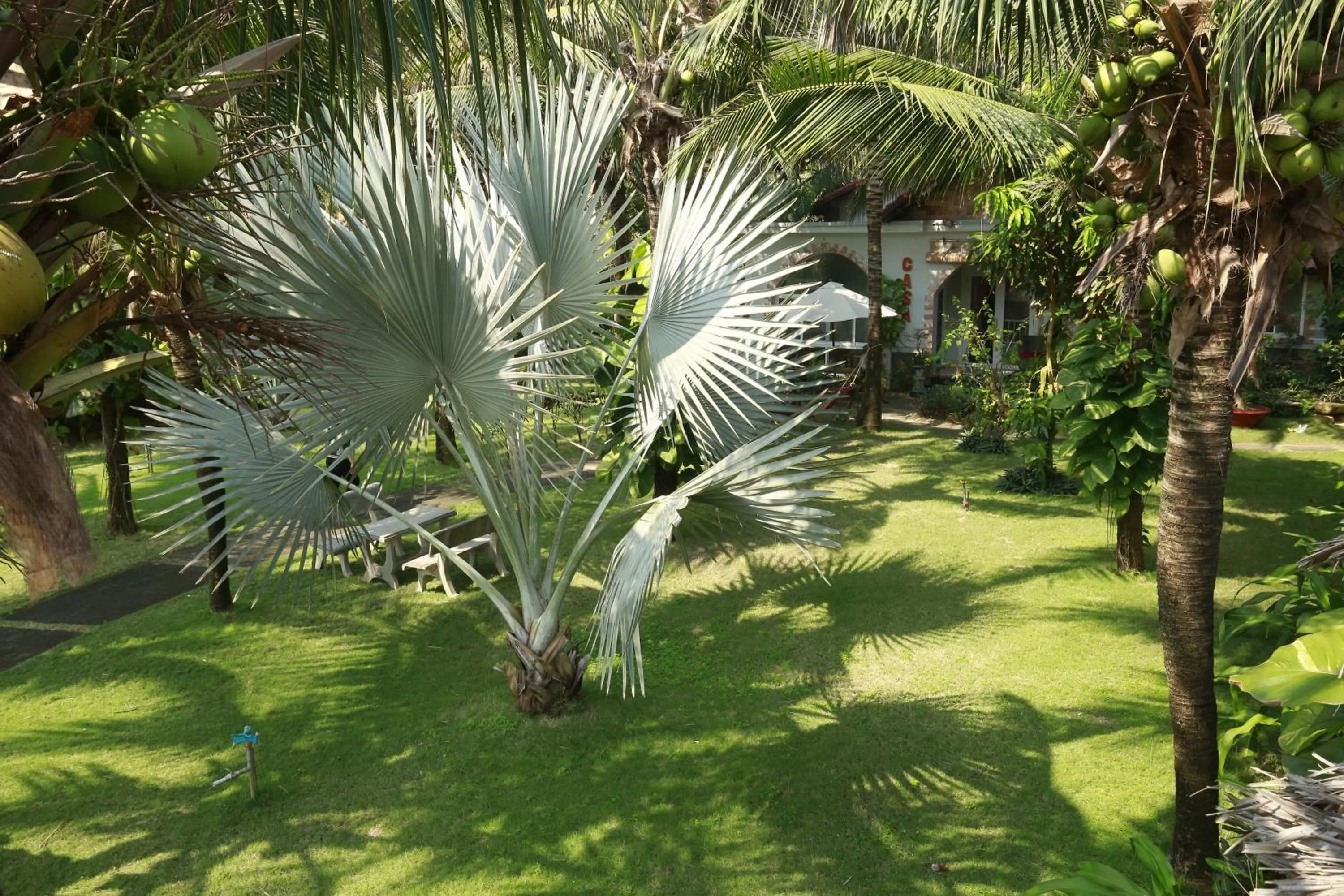 Garden in Casa Beach Resort