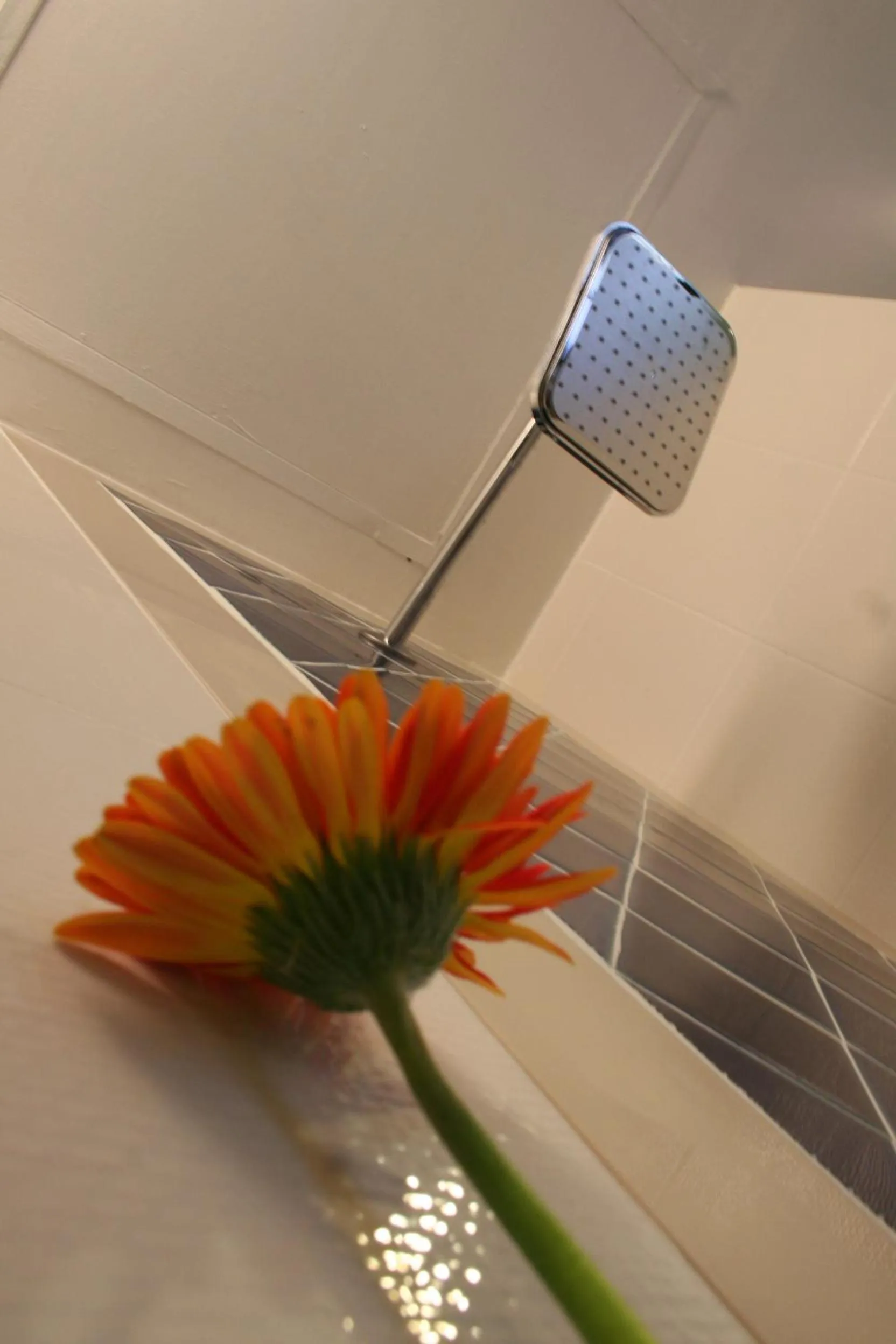 Lamoon Lamai Residence & Guesthouse