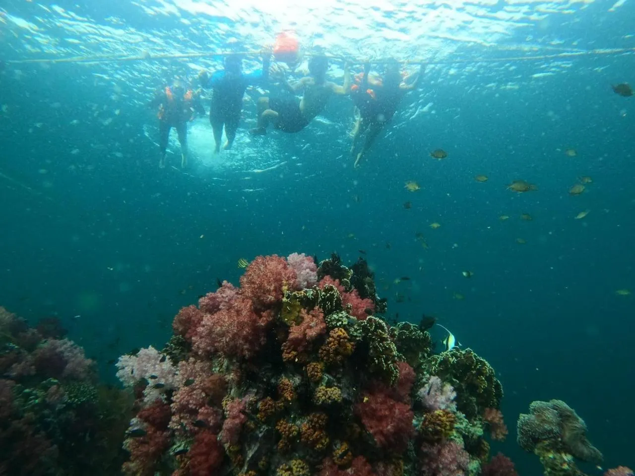 Natural landscape in Z-Touch Lipe Island Resort