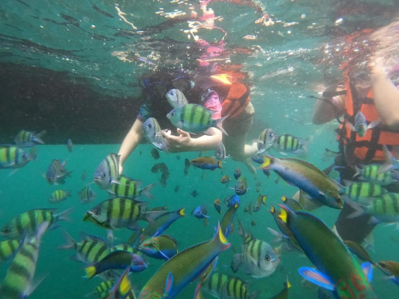 Activities in Z-Touch Lipe Island Resort