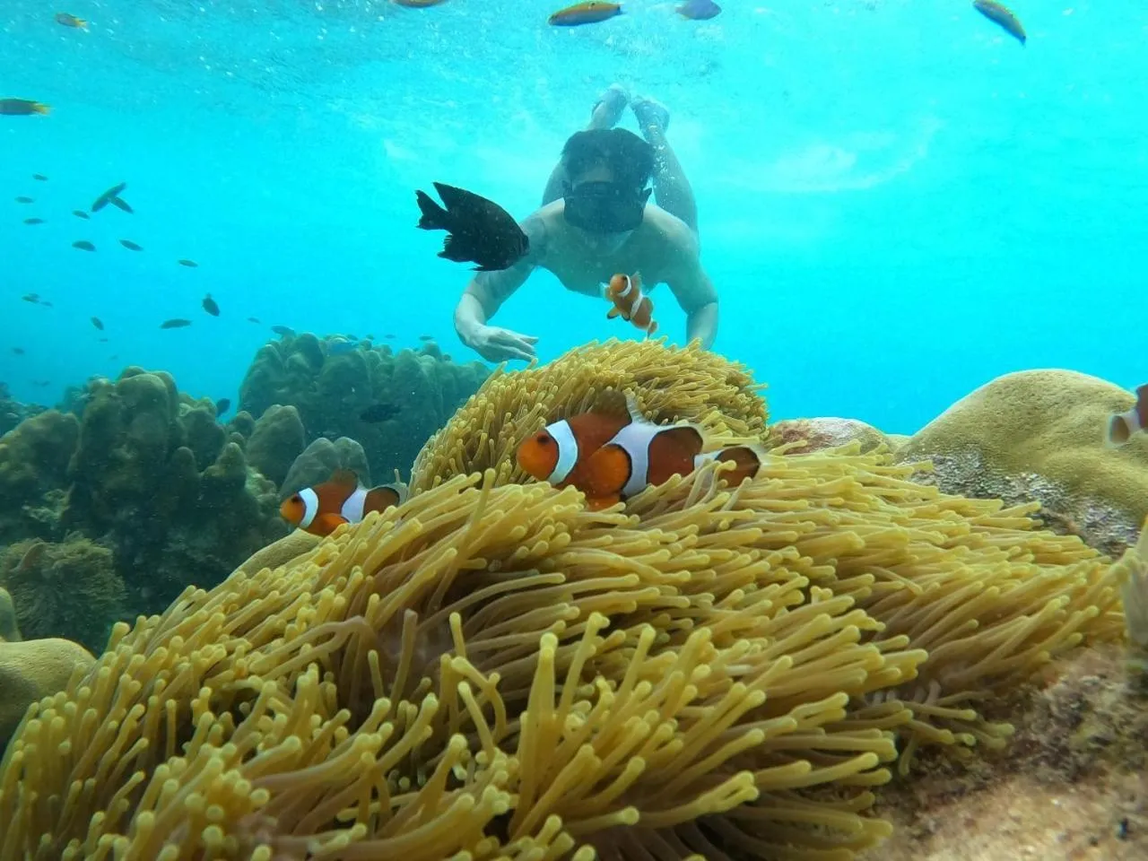 Activities in Z-Touch Lipe Island Resort