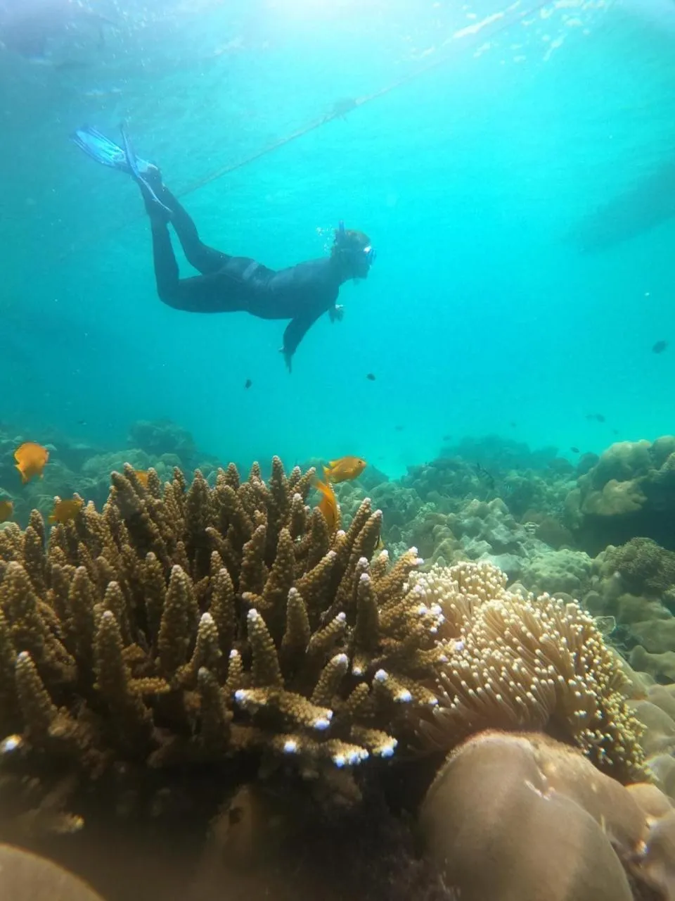 Activities in Z-Touch Lipe Island Resort