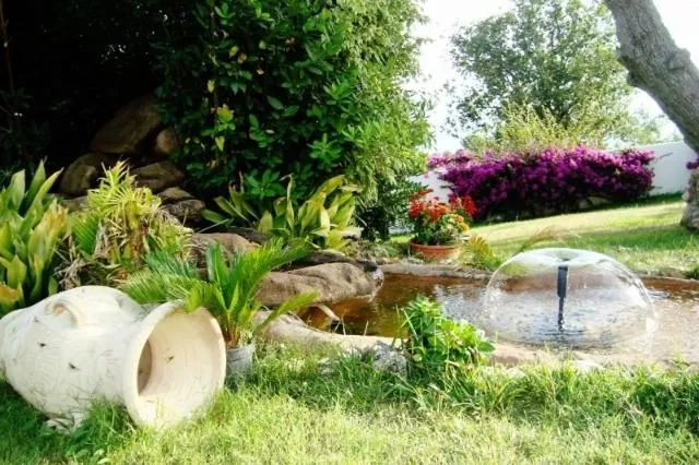 Garden in Hotel Diamond Residence