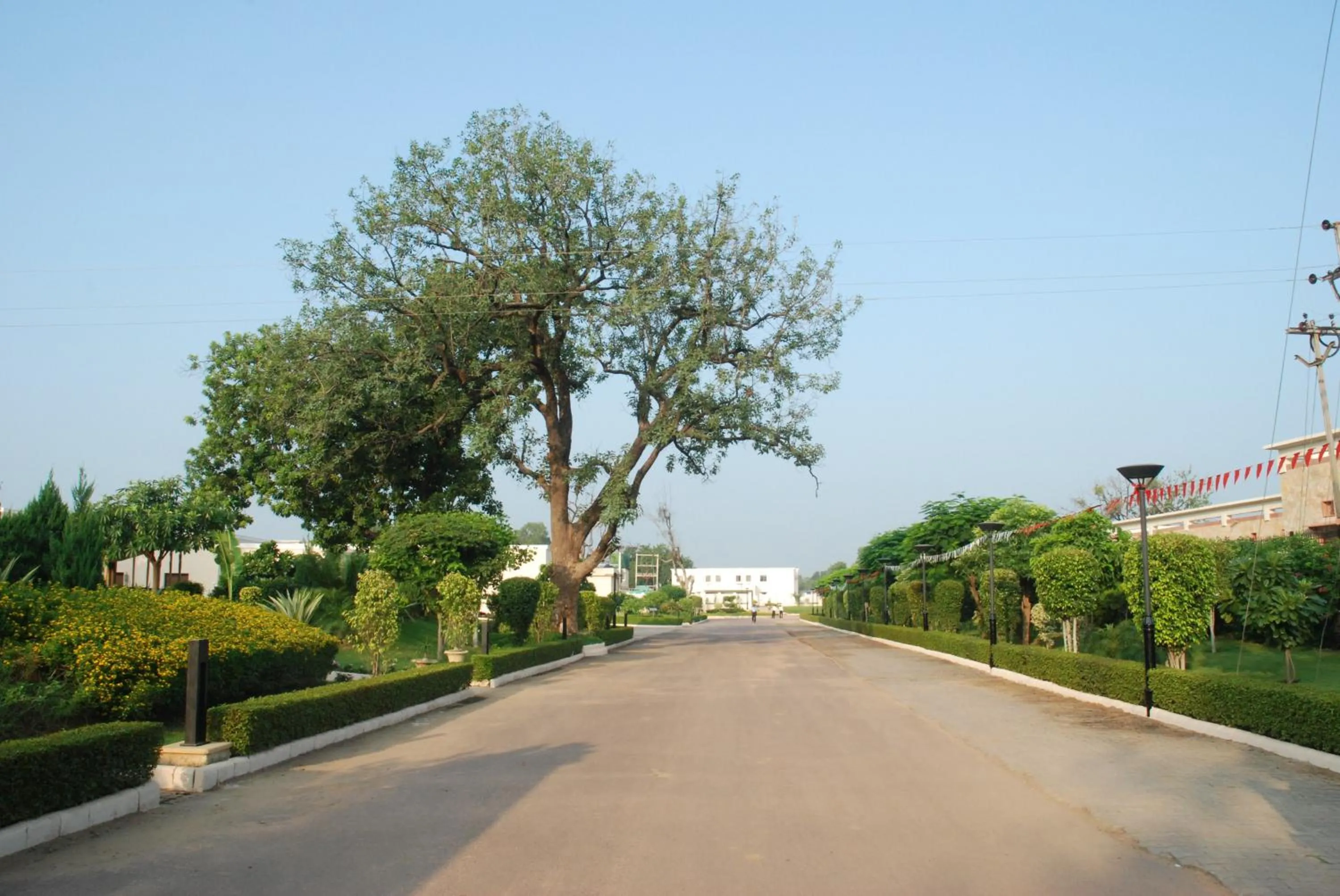 Facade/entrance in The Lalit Temple View