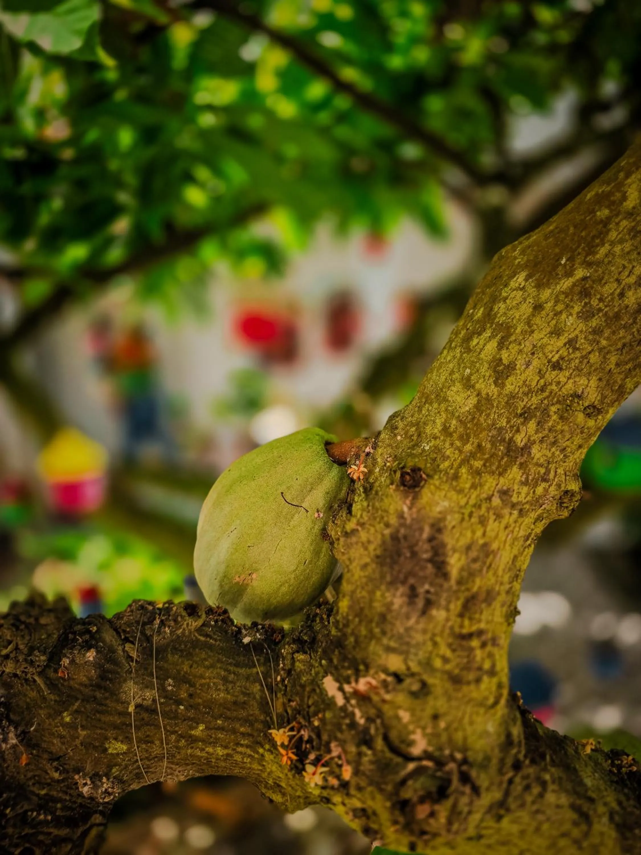 Natural landscape in Pousada Rio do Prado