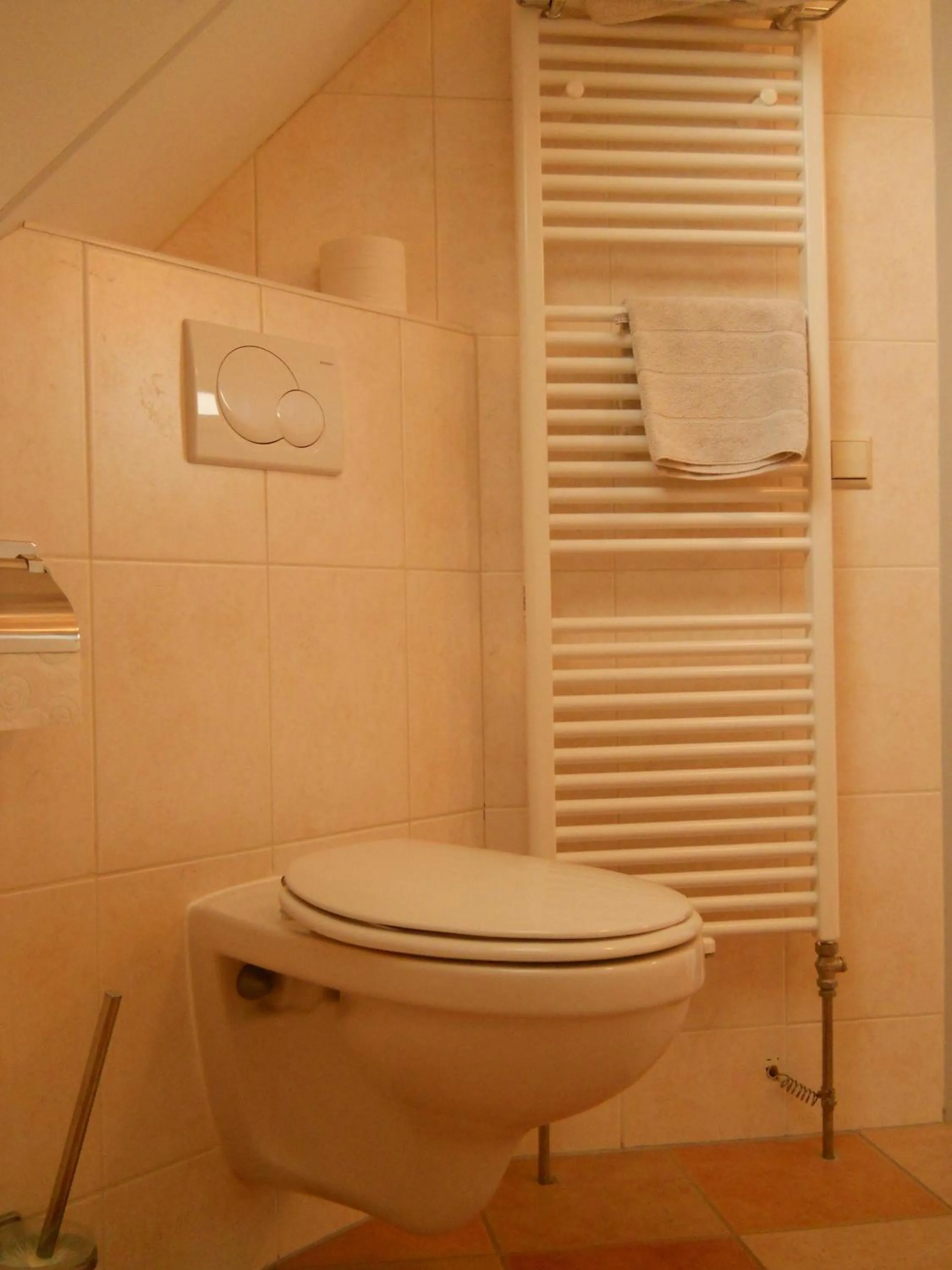 Toilet in De Stormvogel