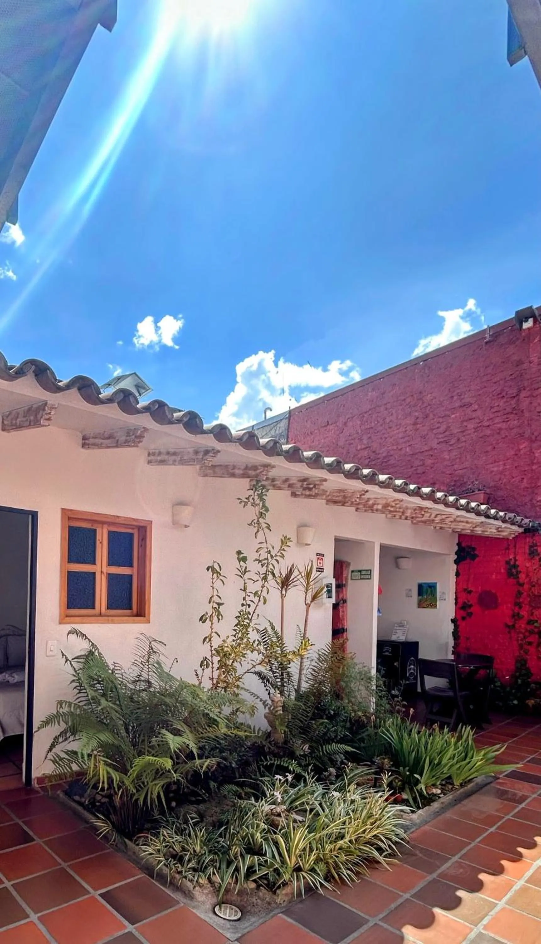 Garden view in Zana Hotel Boutique