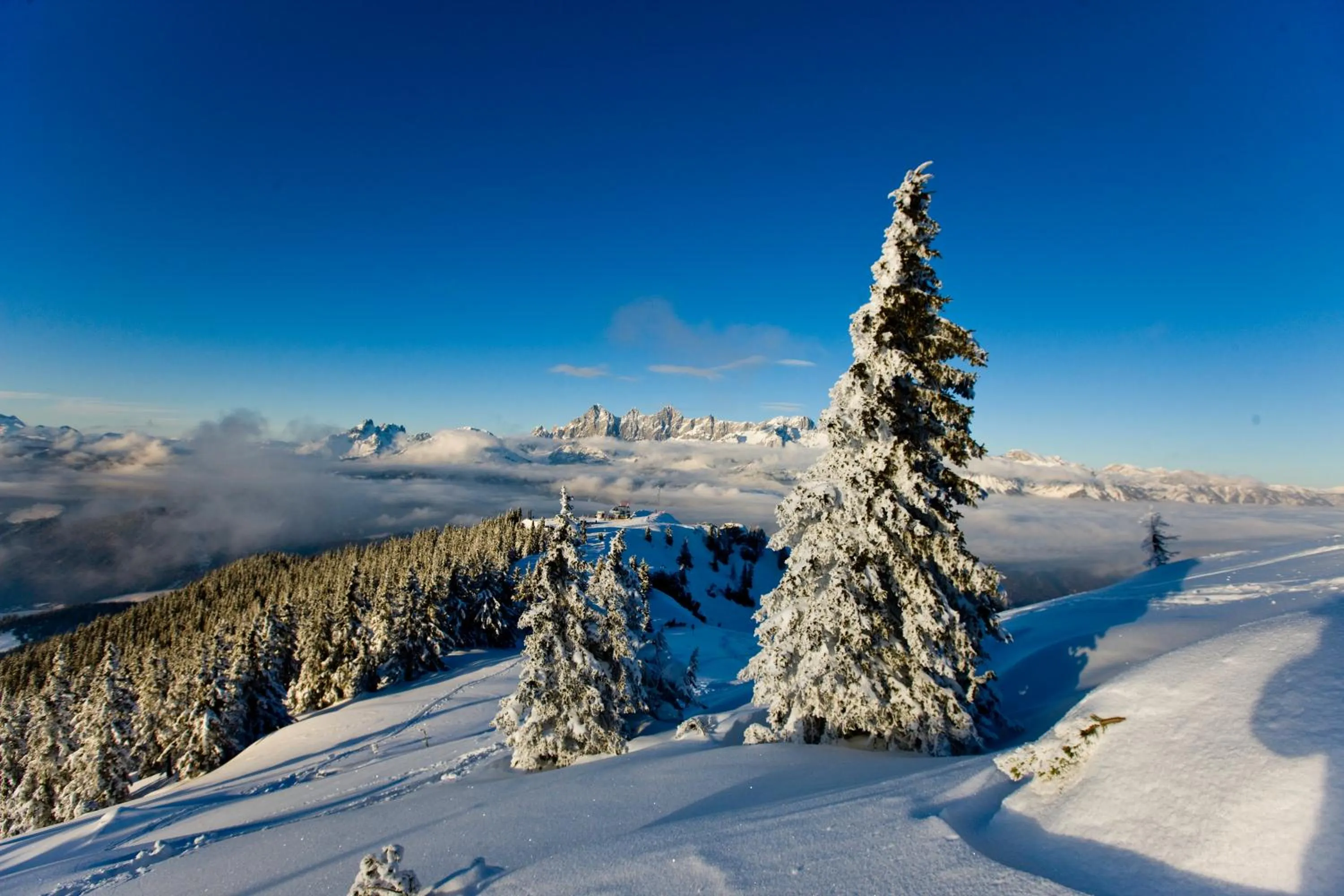 Natural landscape in Hotel Schladmingerhof