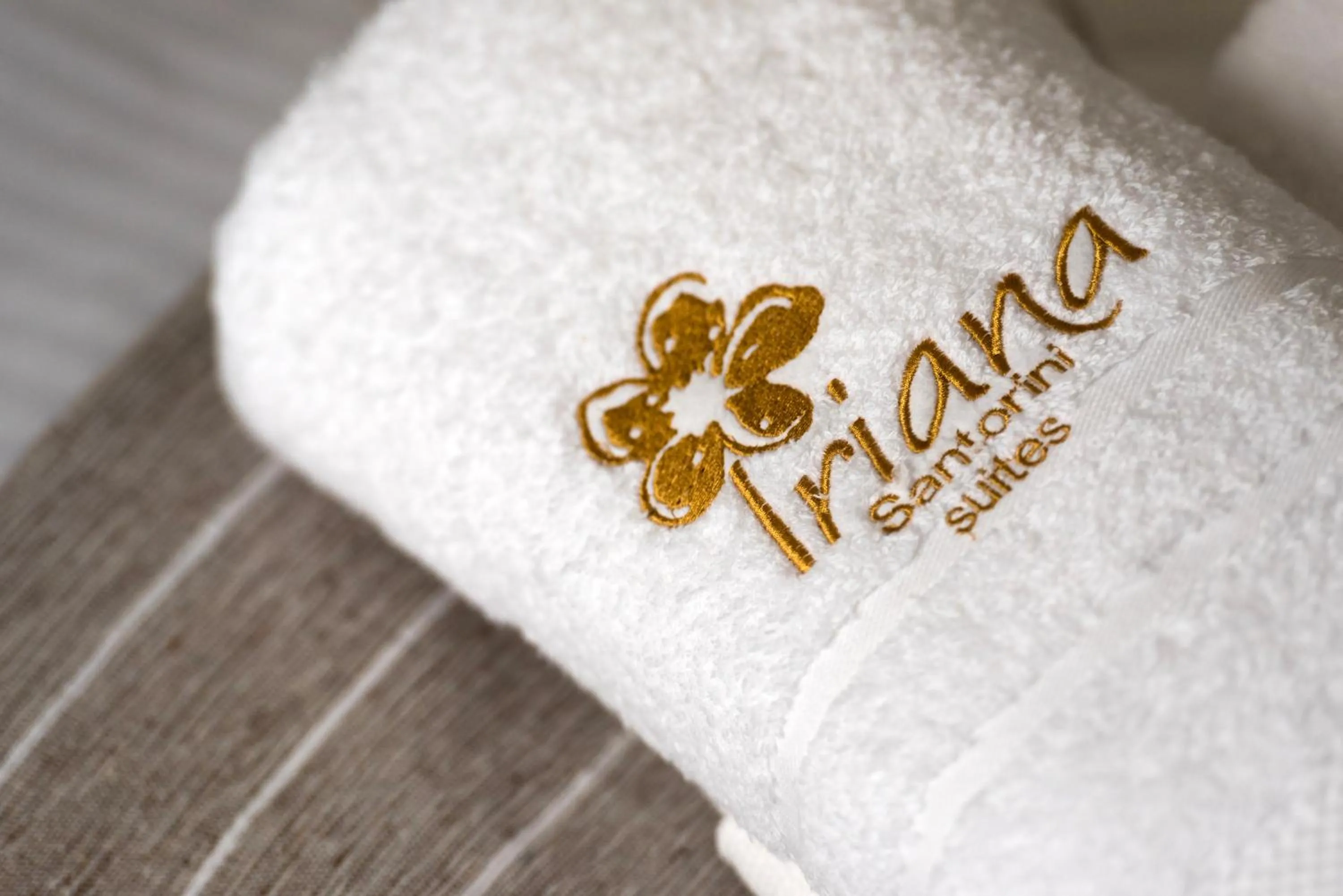 Property logo or sign in Iriana Suites