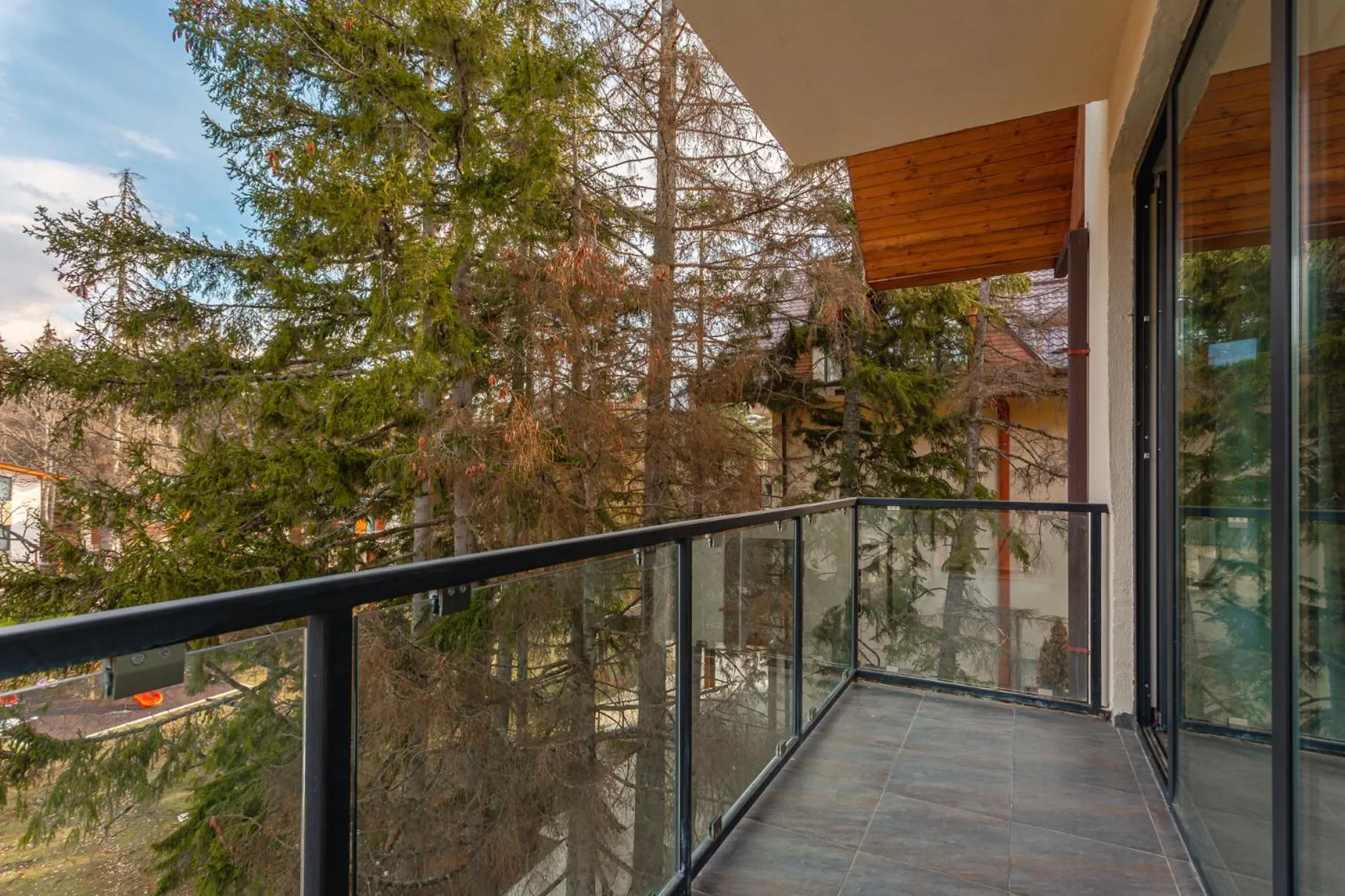 View (from property/room) in AuRoom Bakuriani Resort