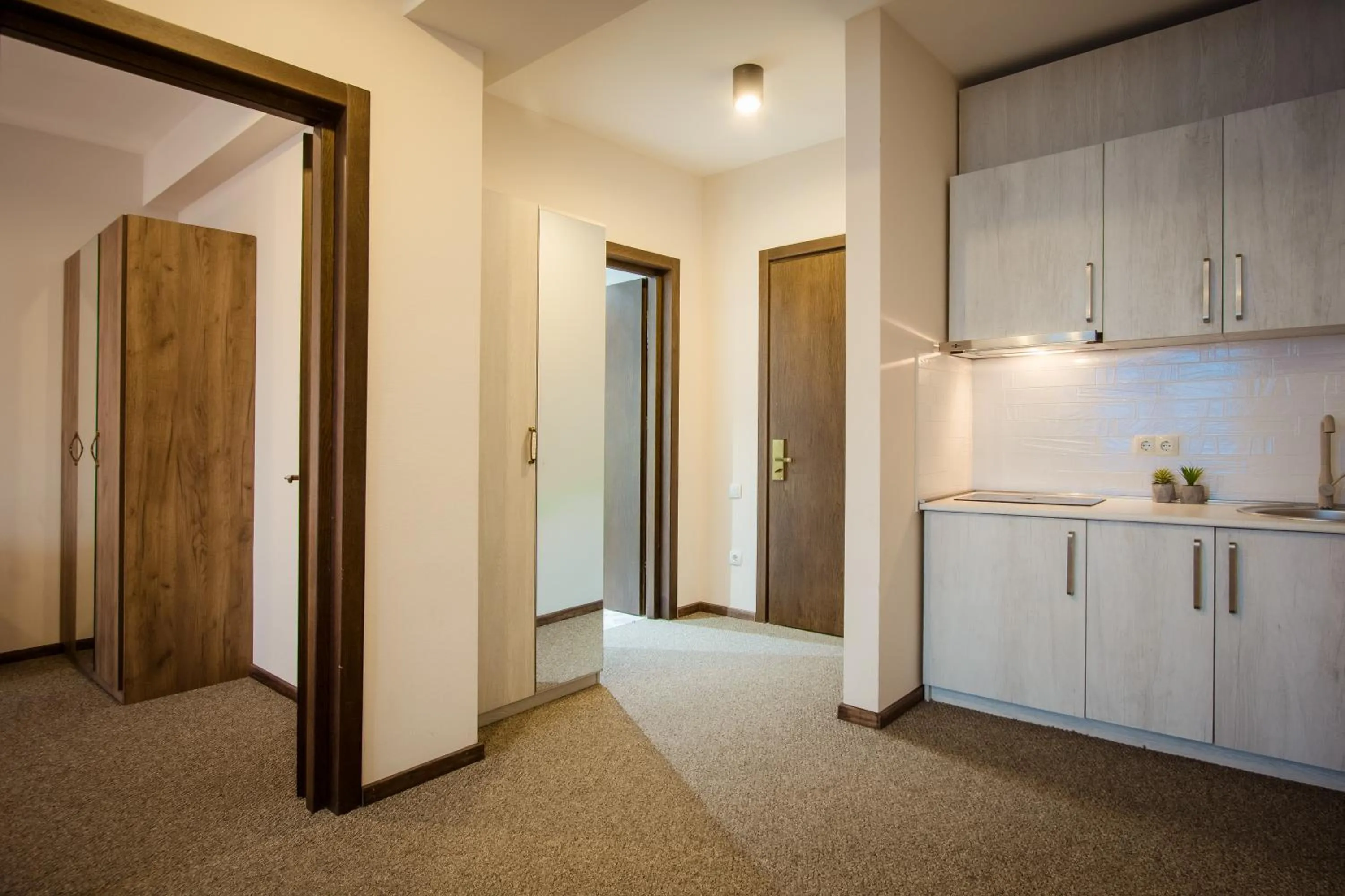 Kitchen or kitchenette in AuRoom Bakuriani Resort