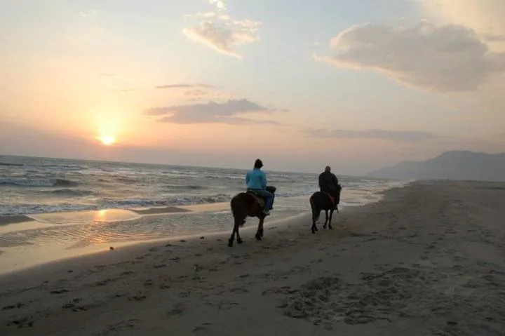 Beach in Apollon Hotel