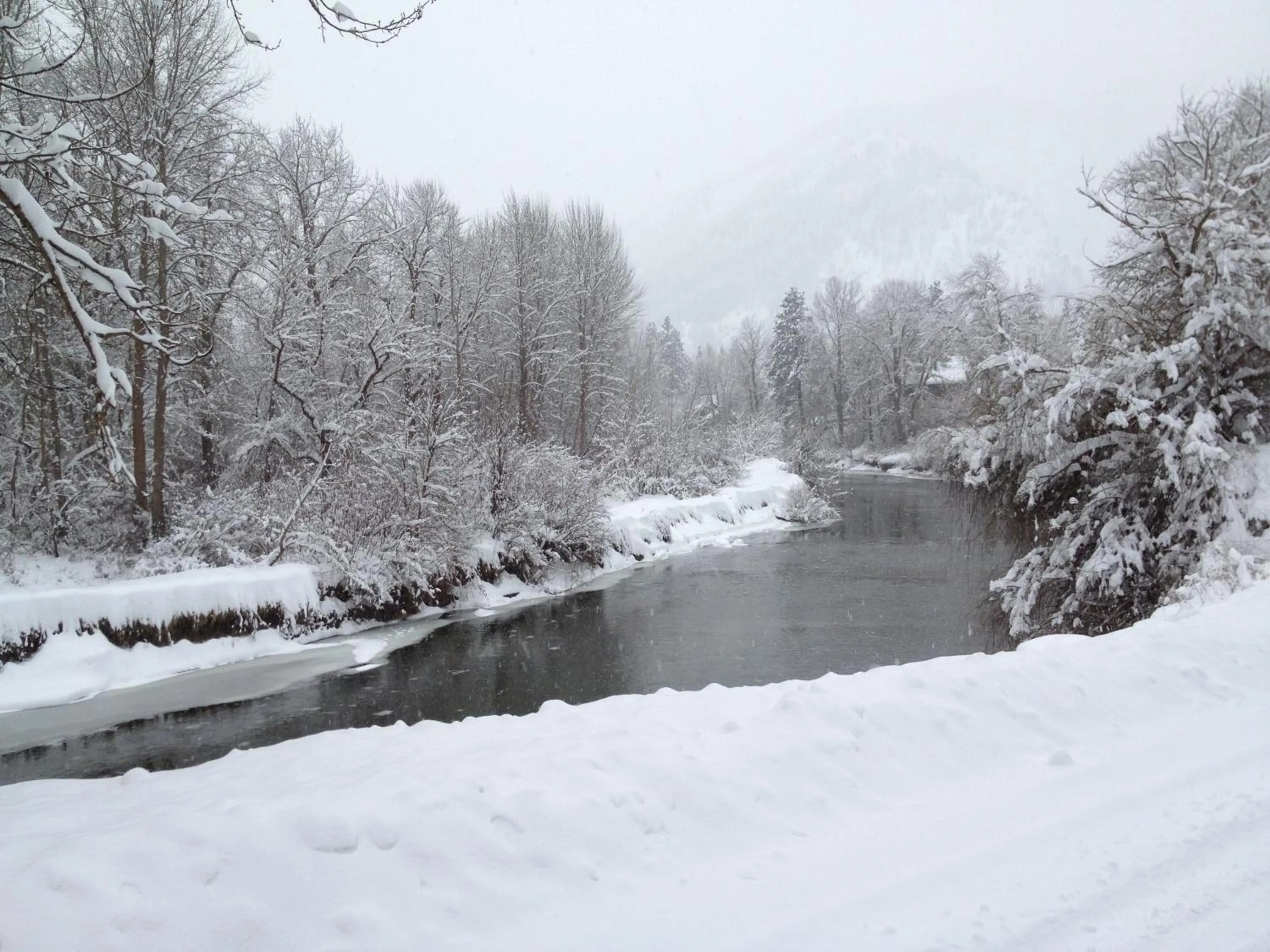 Neighbourhood in Obertal Inn