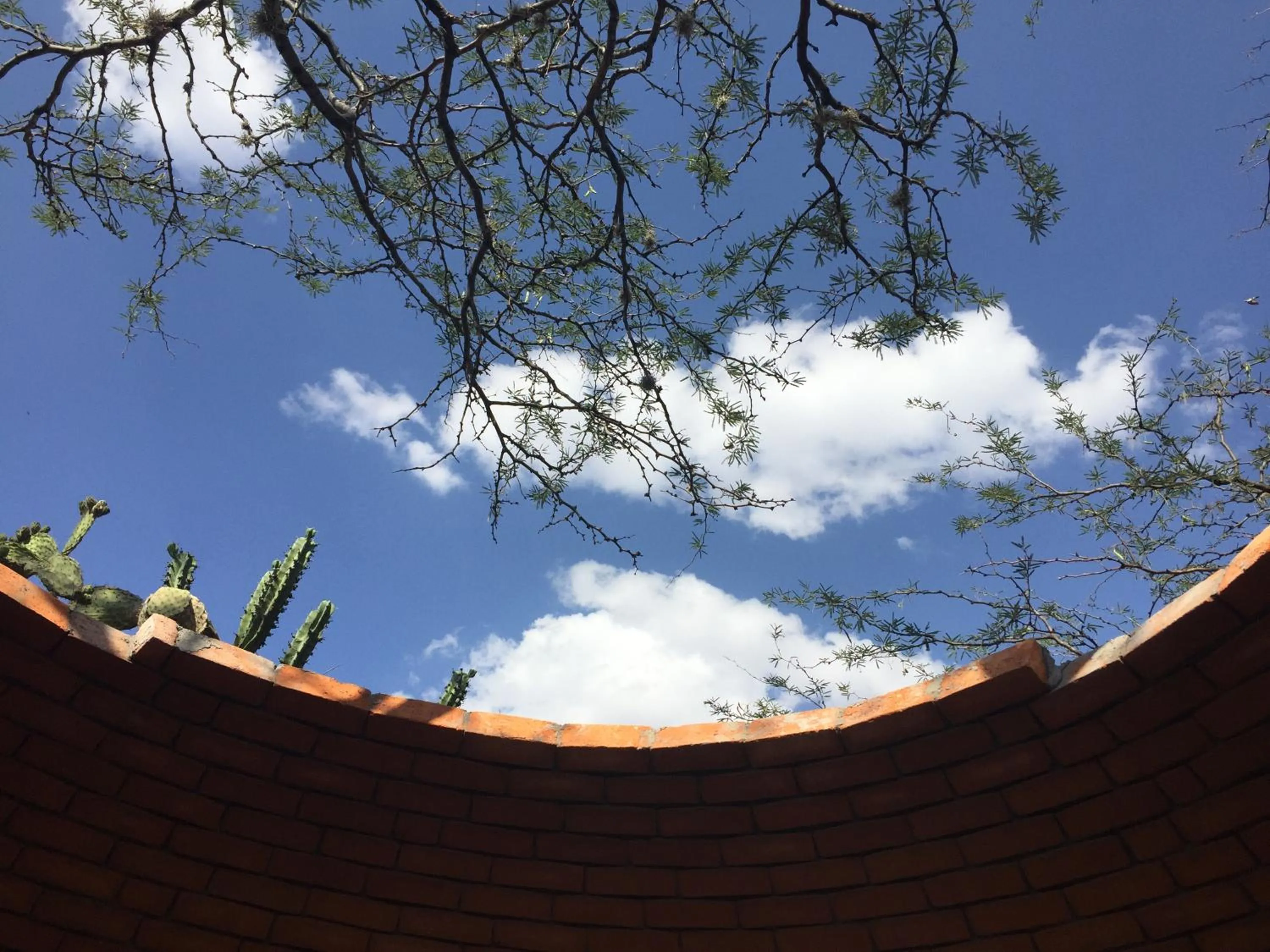 Property building in Gran Despertar El Faro