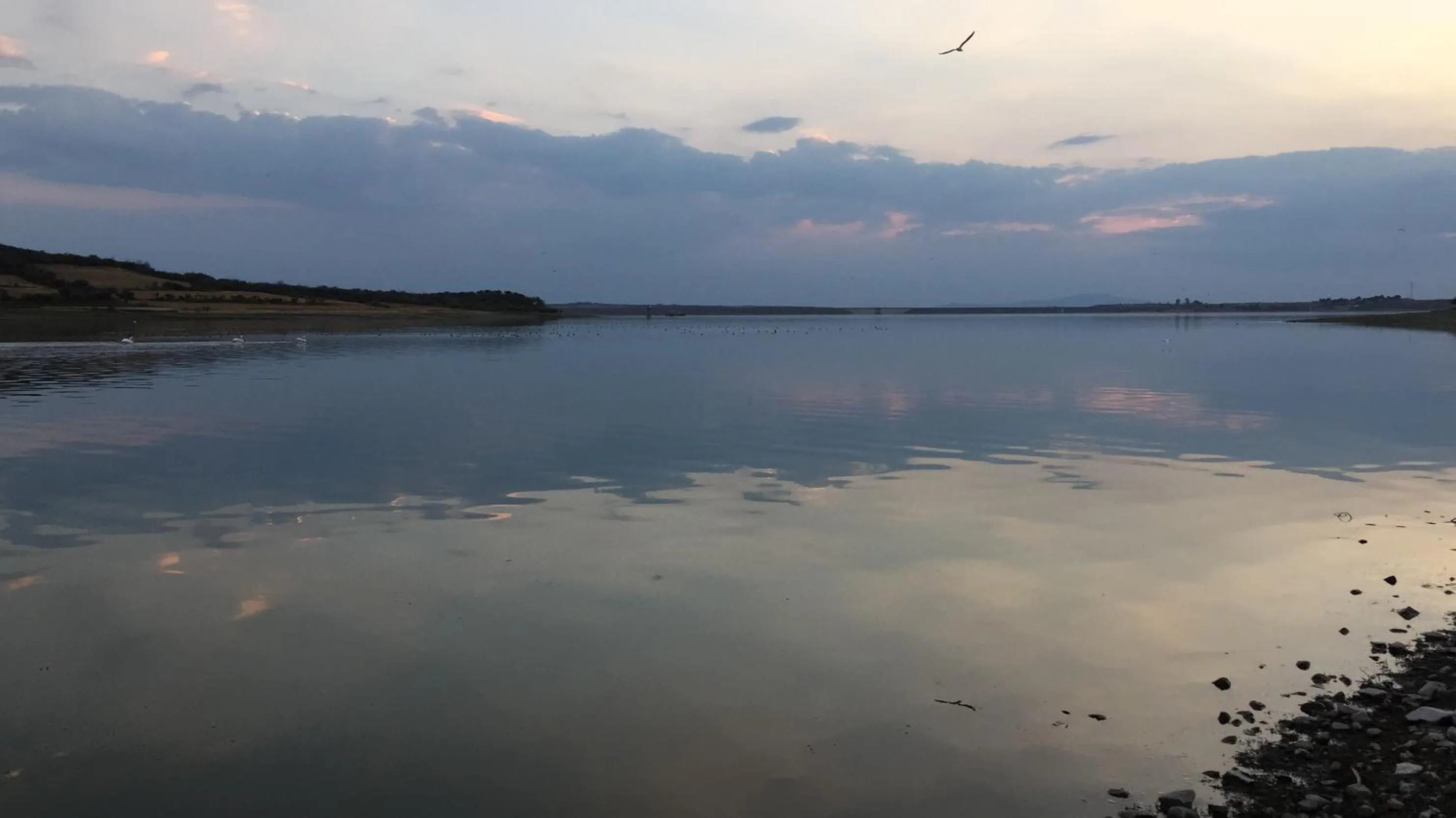Natural landscape in Gran Despertar El Faro