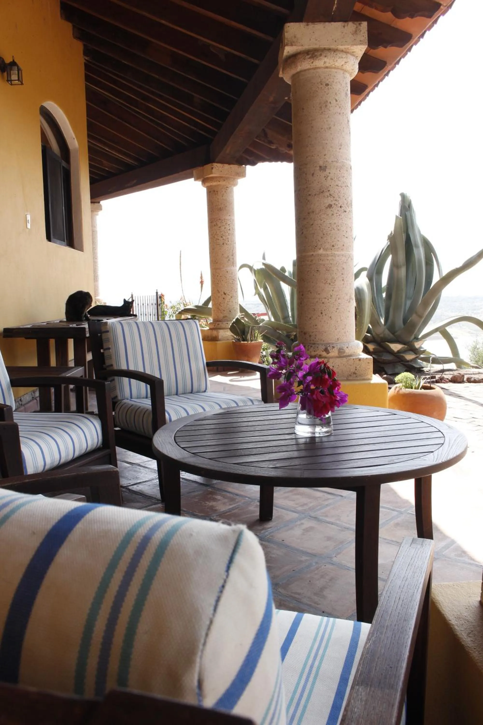 Gran Despertar El Faro