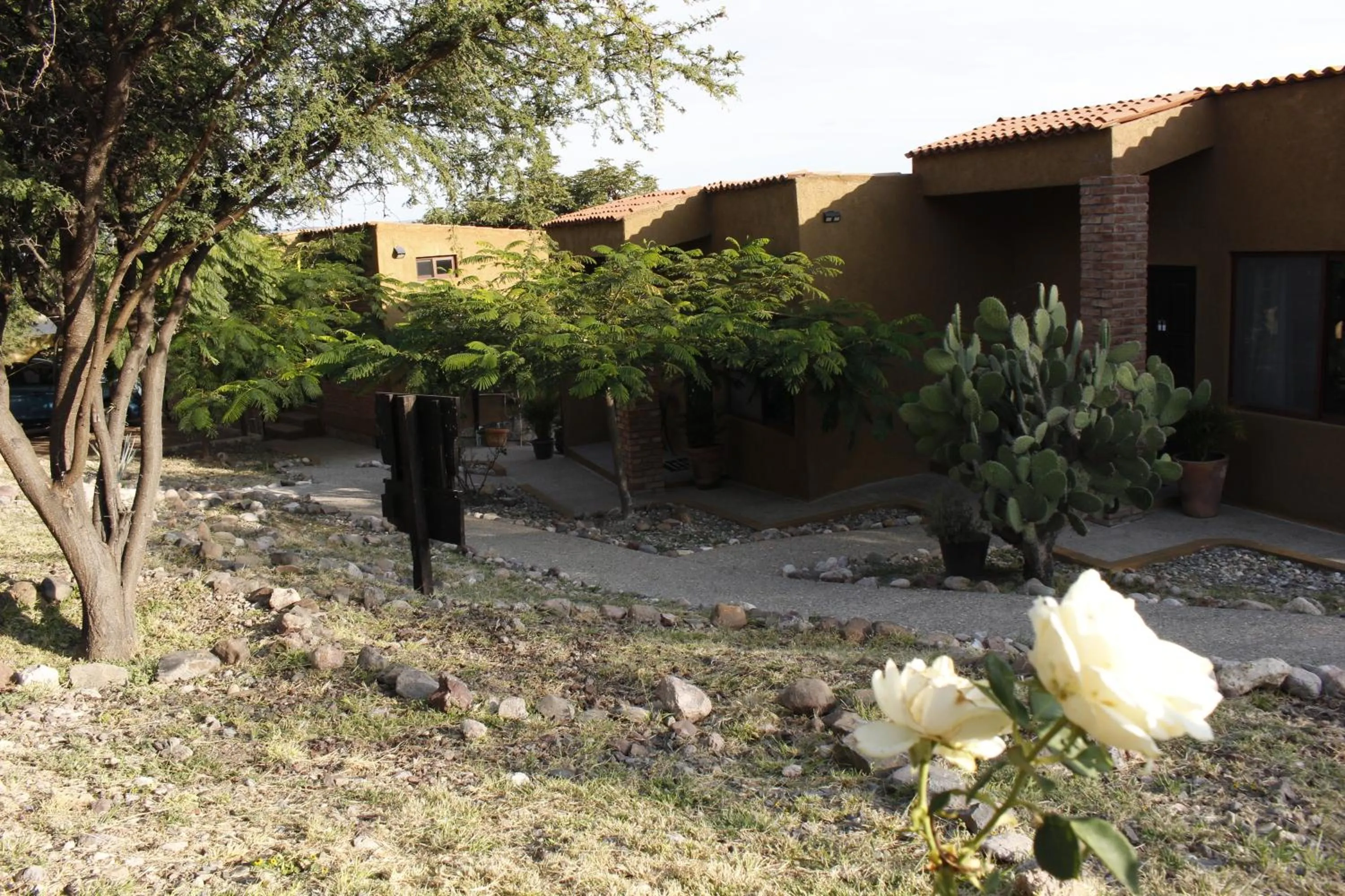 Gran Despertar El Faro