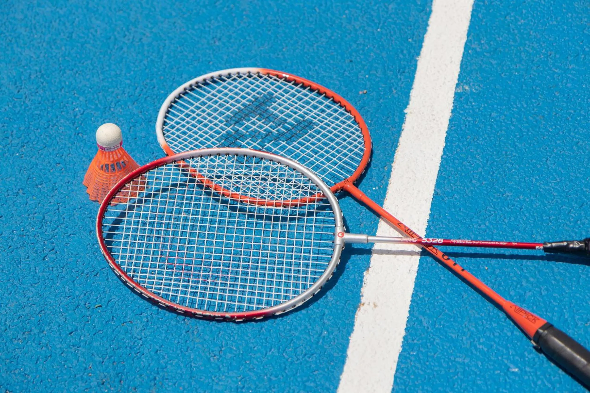 Activities in Hotel Palia Puerto del Sol 3 Sup