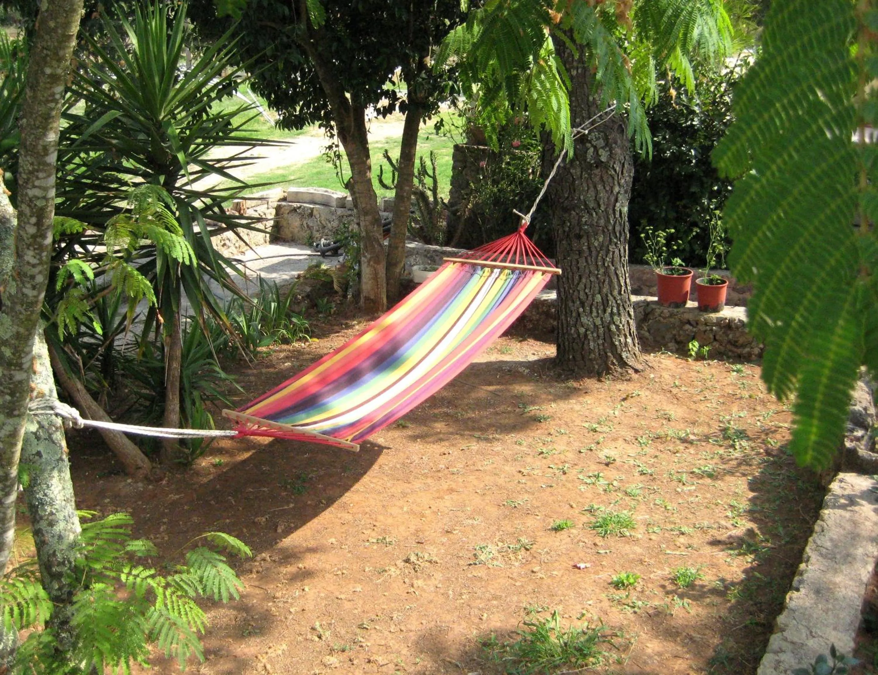 Garden in Corfu Pearl