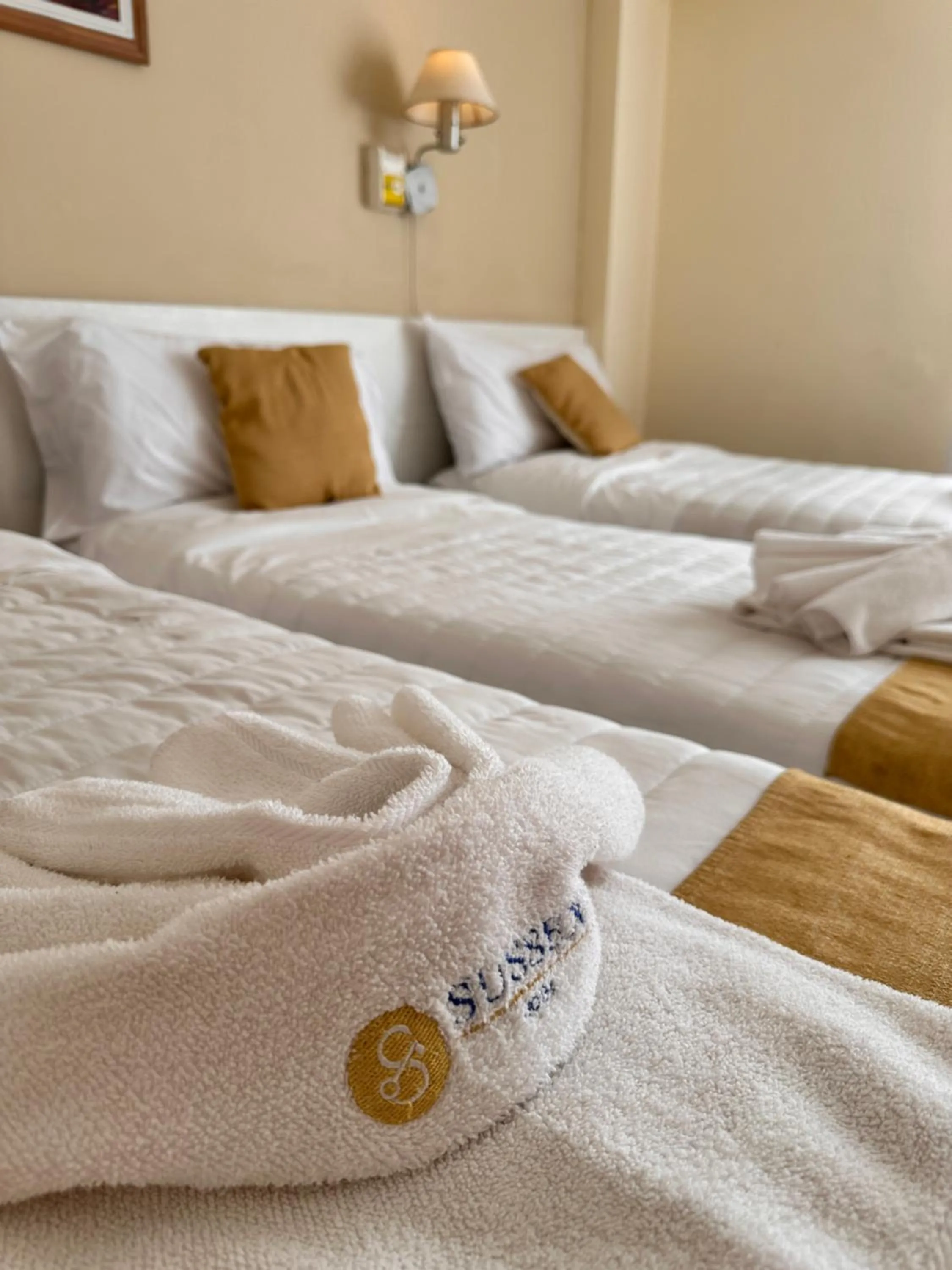 Other, Bed in Hotel Sussex