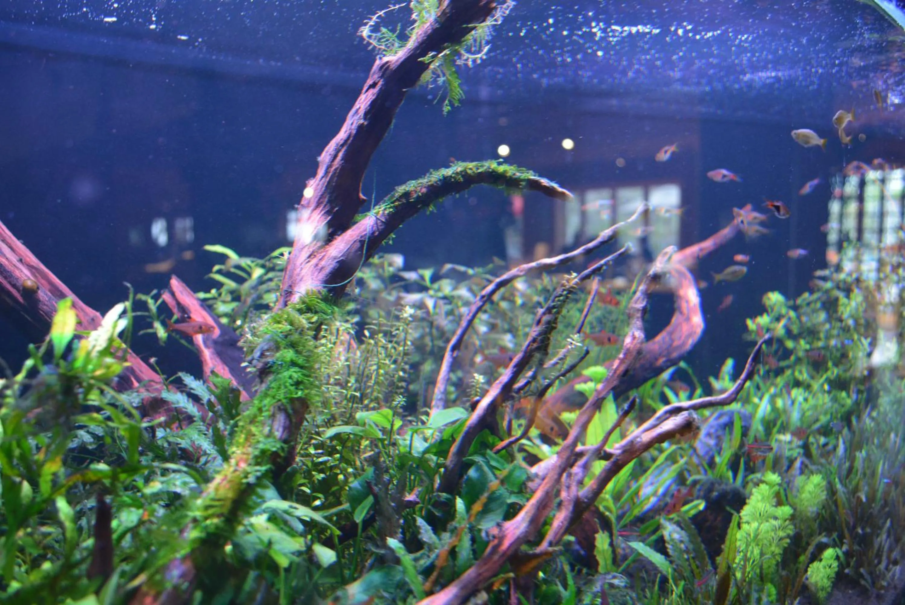 Lobby or reception in Hotel Lodge Maishima