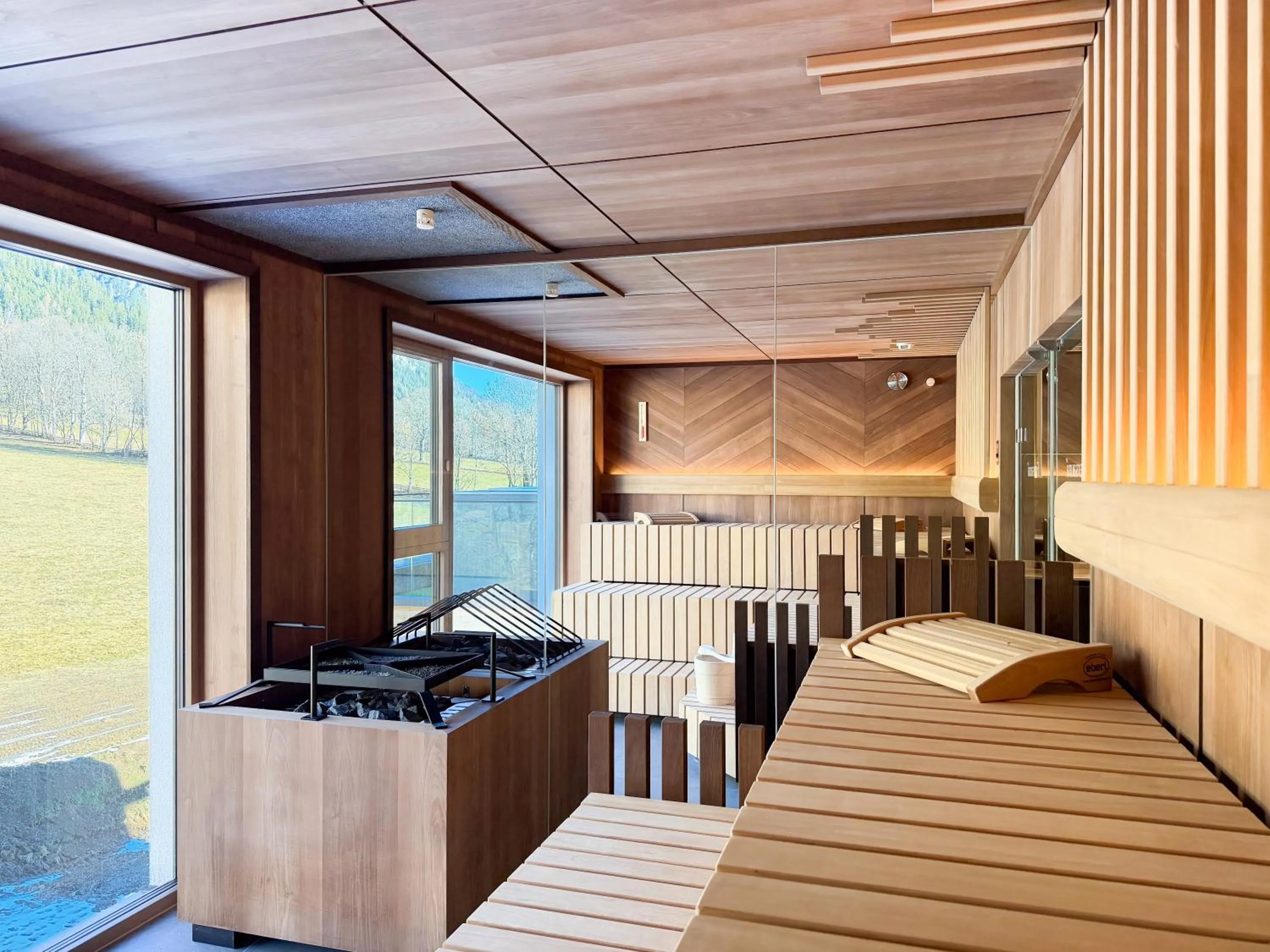 Swimming pool in Aktivhotel Pehab - Dachstein Rooftop-Spa