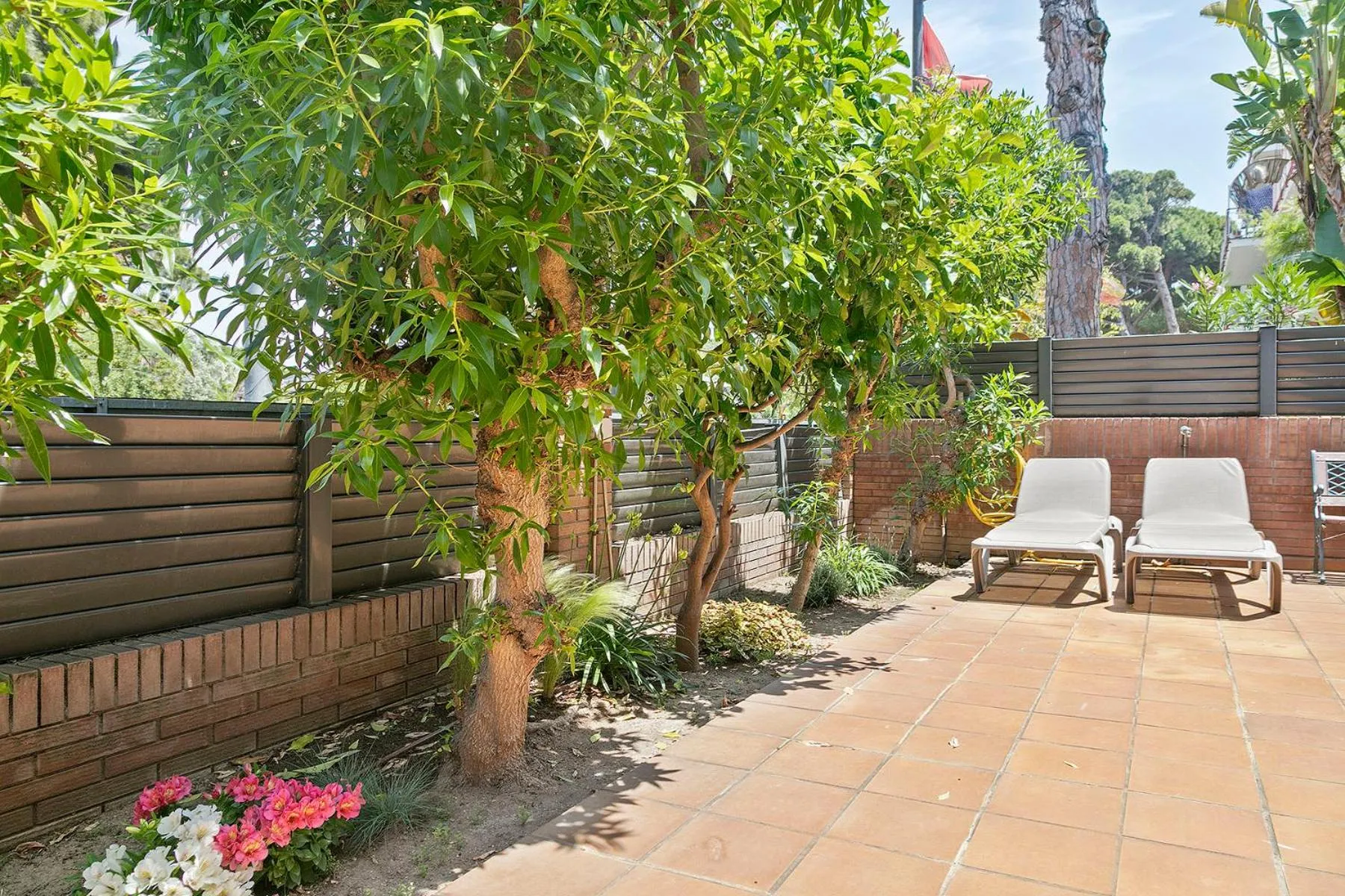 Balcony/Terrace in Apartamentos Velor