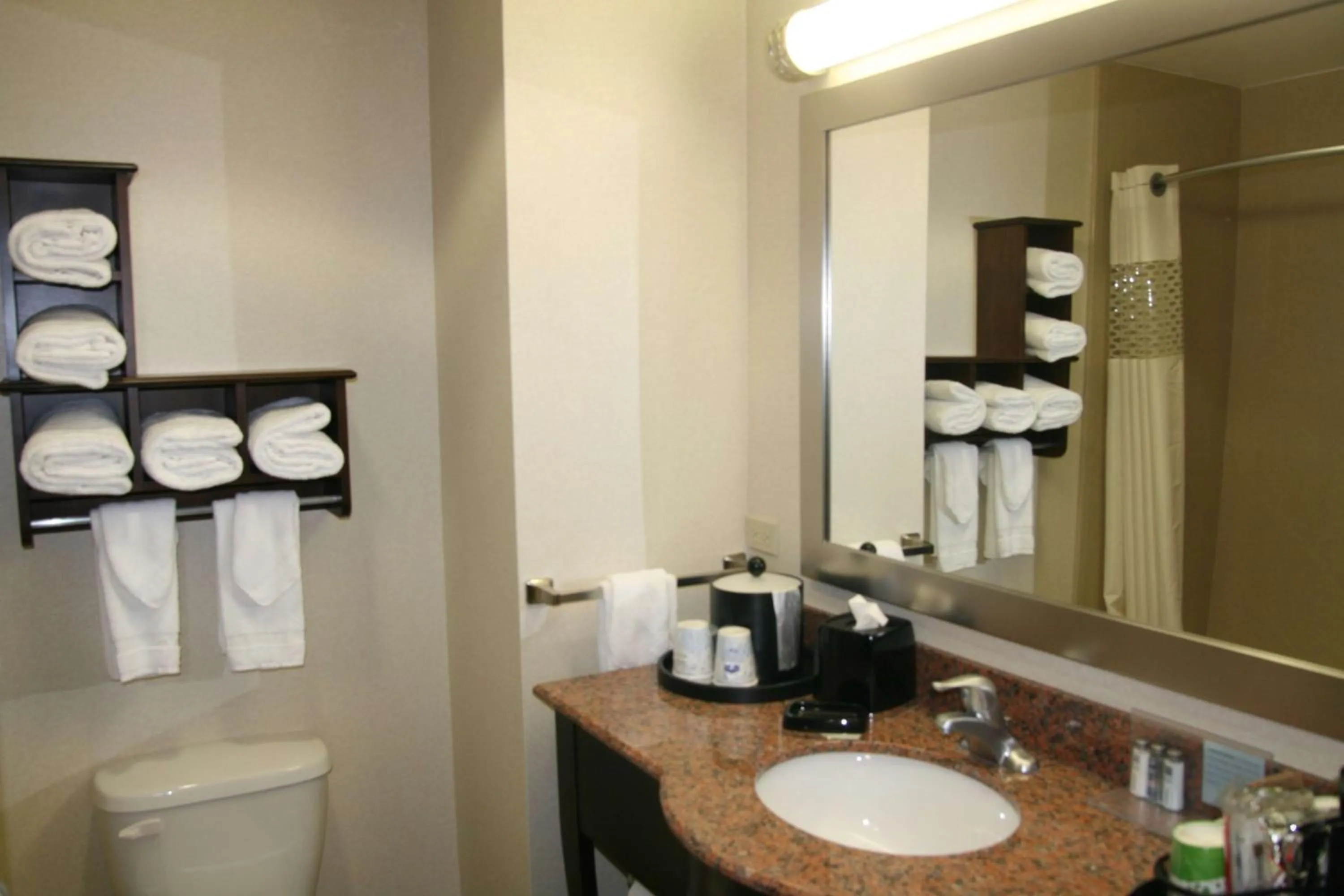 Bathroom in Hampton Inn and Suites New Iberia