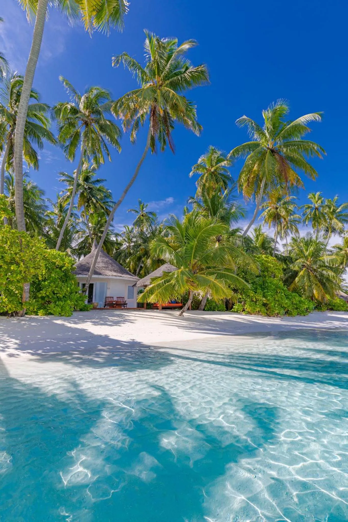 View (from property/room) in Sun Siyam Vilu Reef with Free Transfer