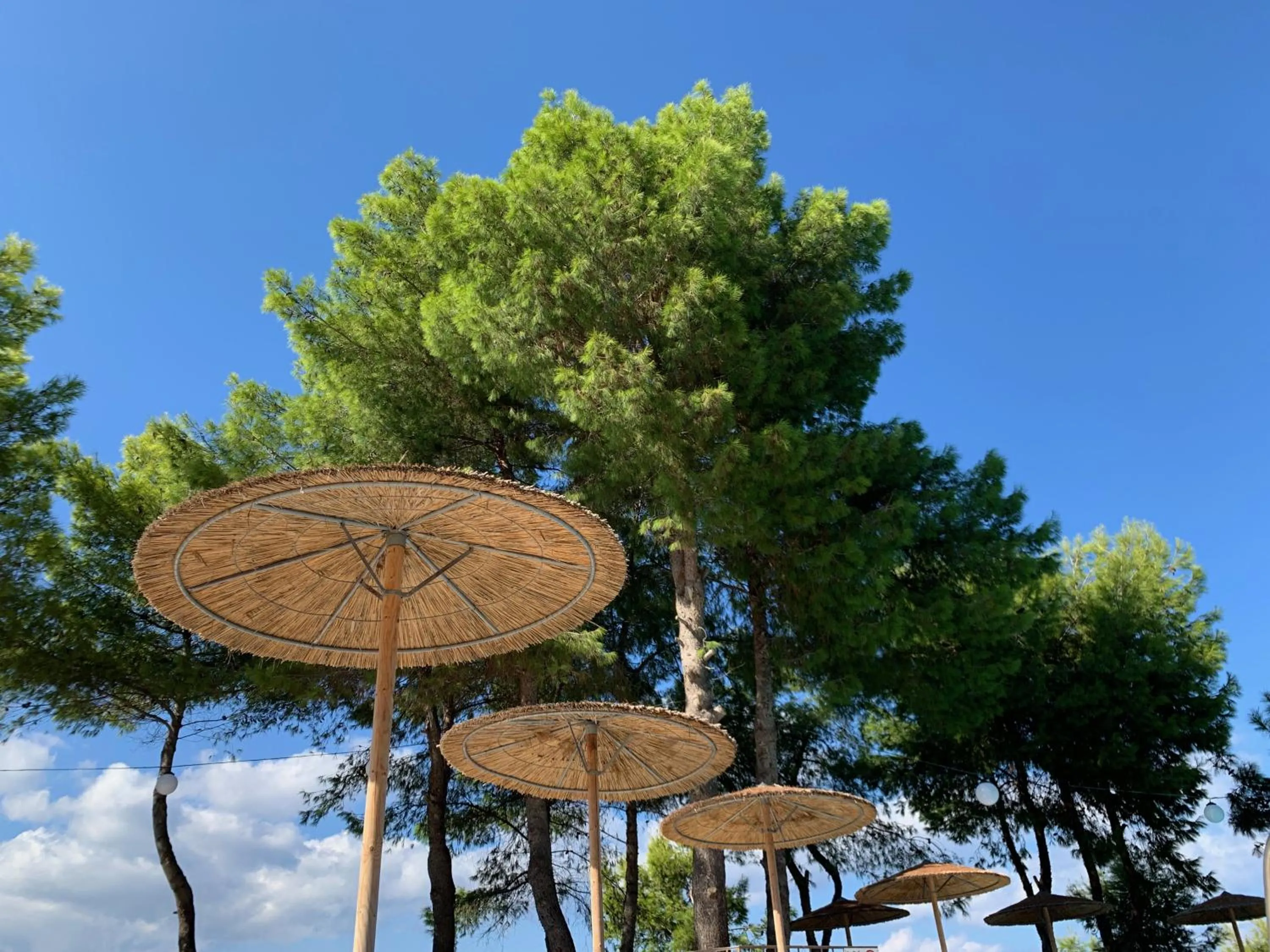 Pool view in Celia Apartments