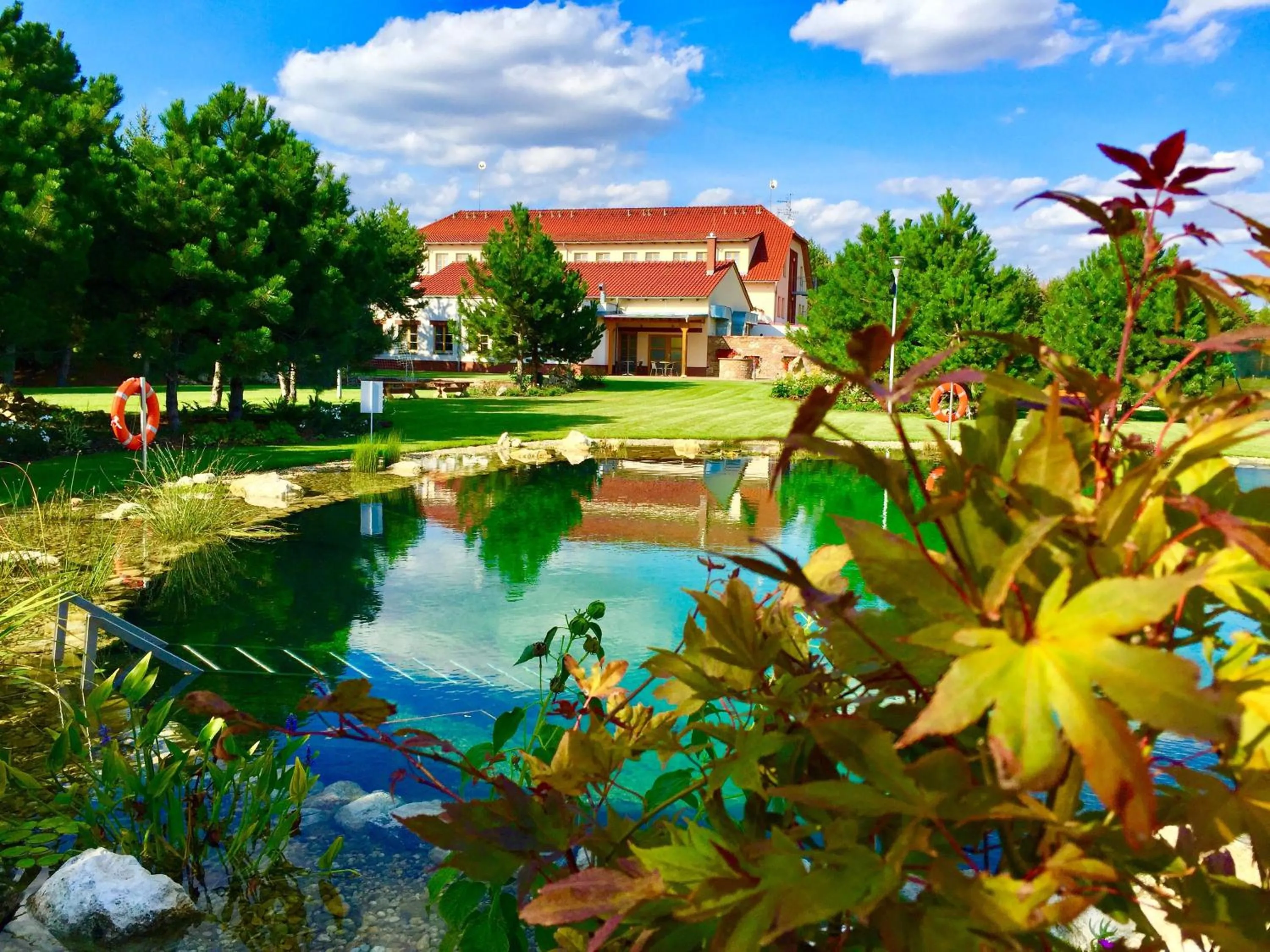 Garden in Garni hotel Celnice