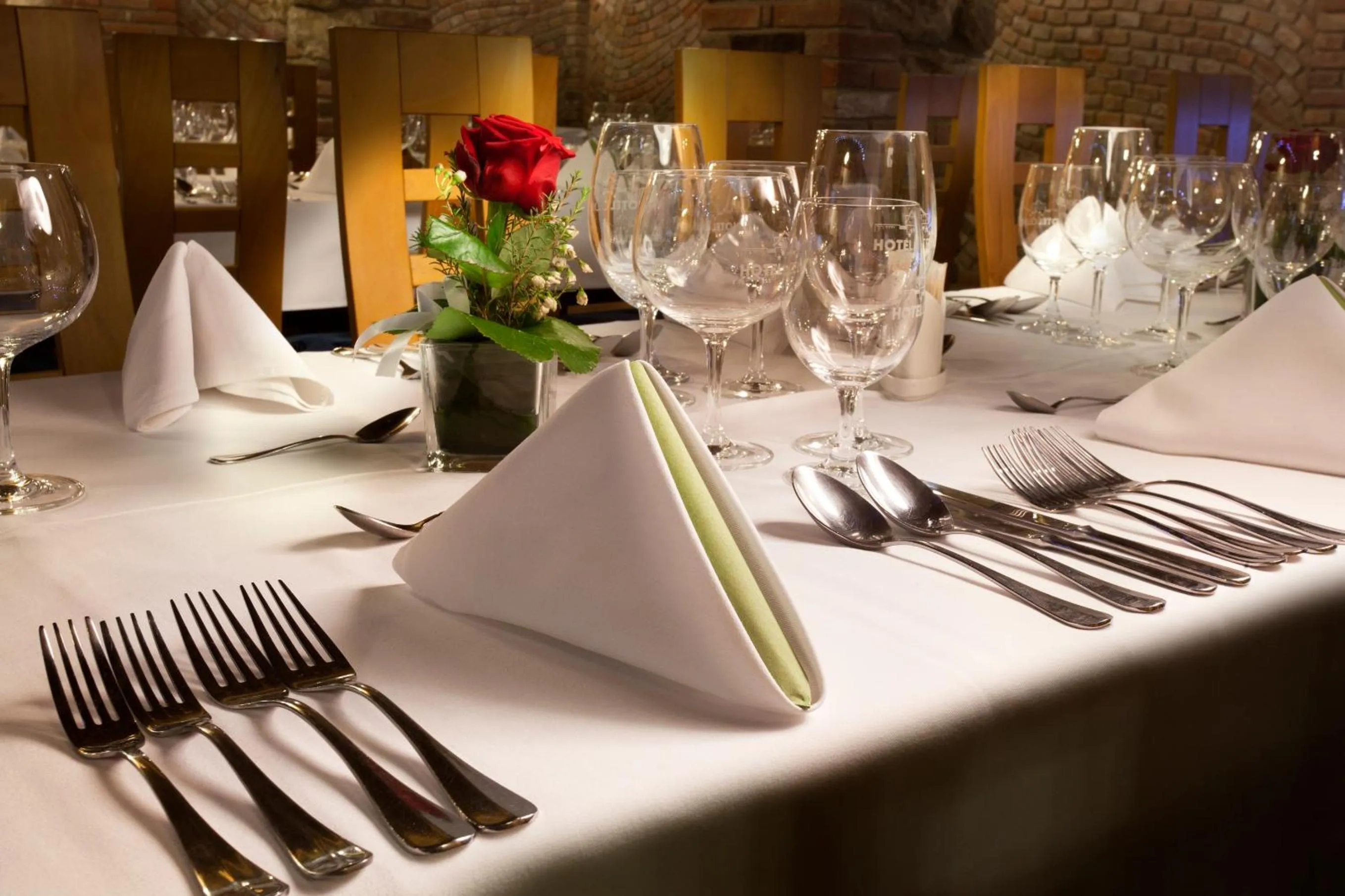 Banquet/Function facilities in Garni hotel Celnice