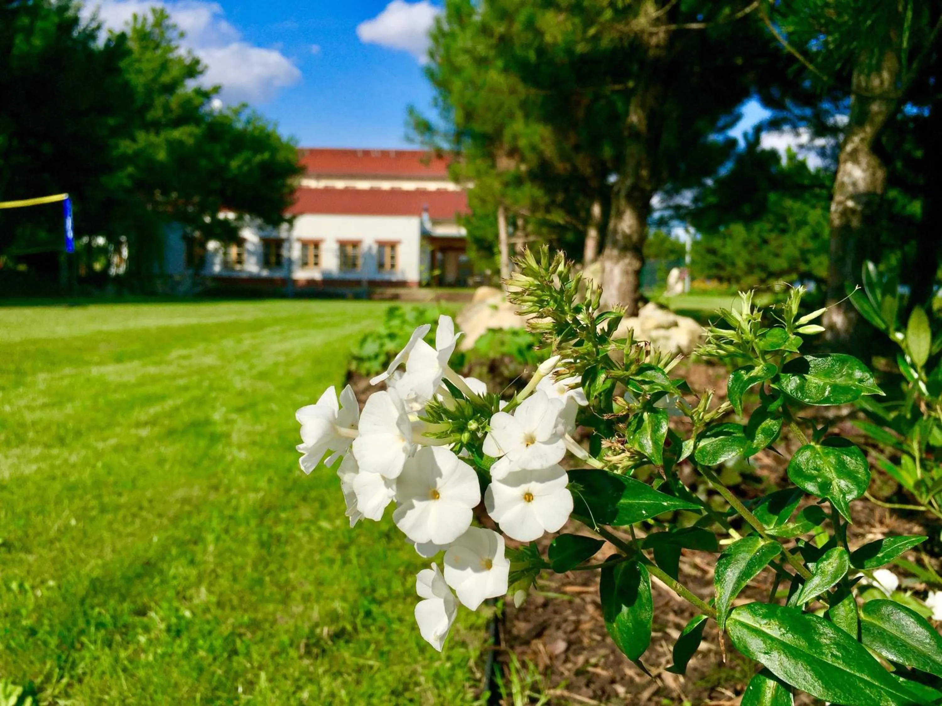 Garden in Garni hotel Celnice