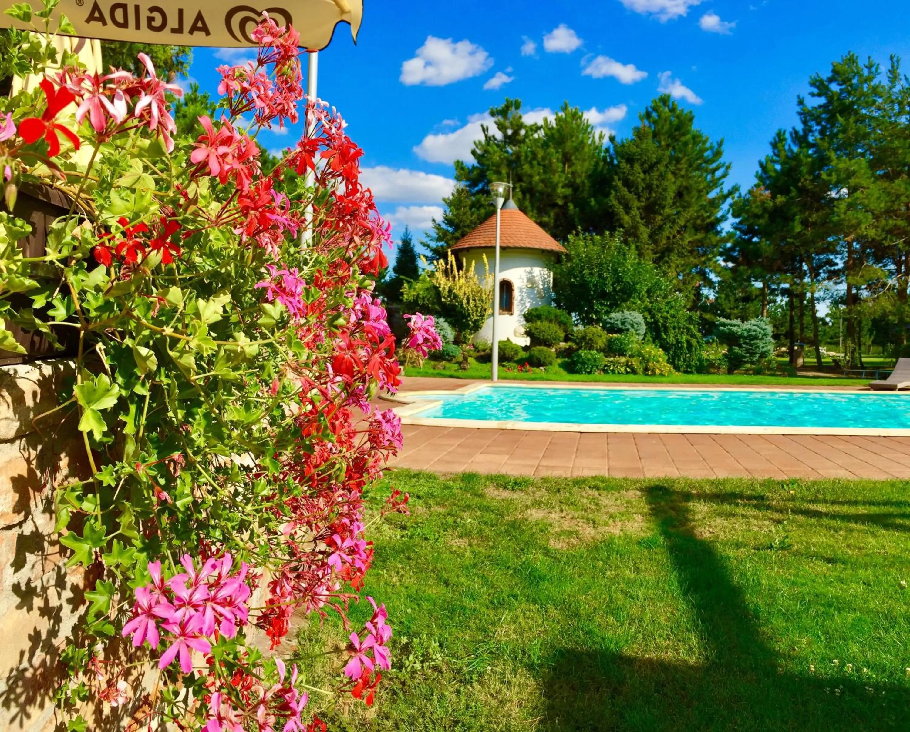 Garden in Garni hotel Celnice