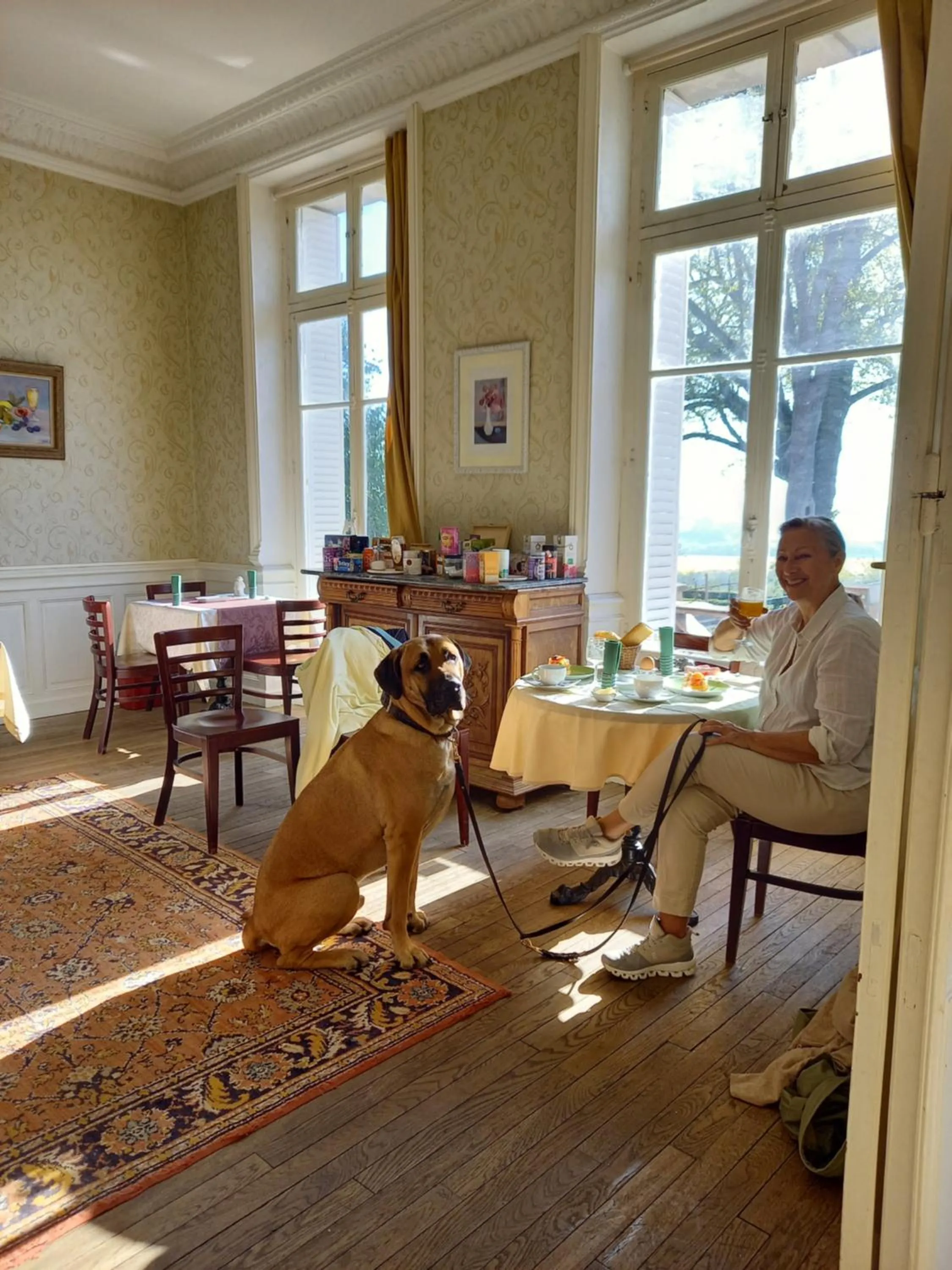 Le Belvedere des Remparts