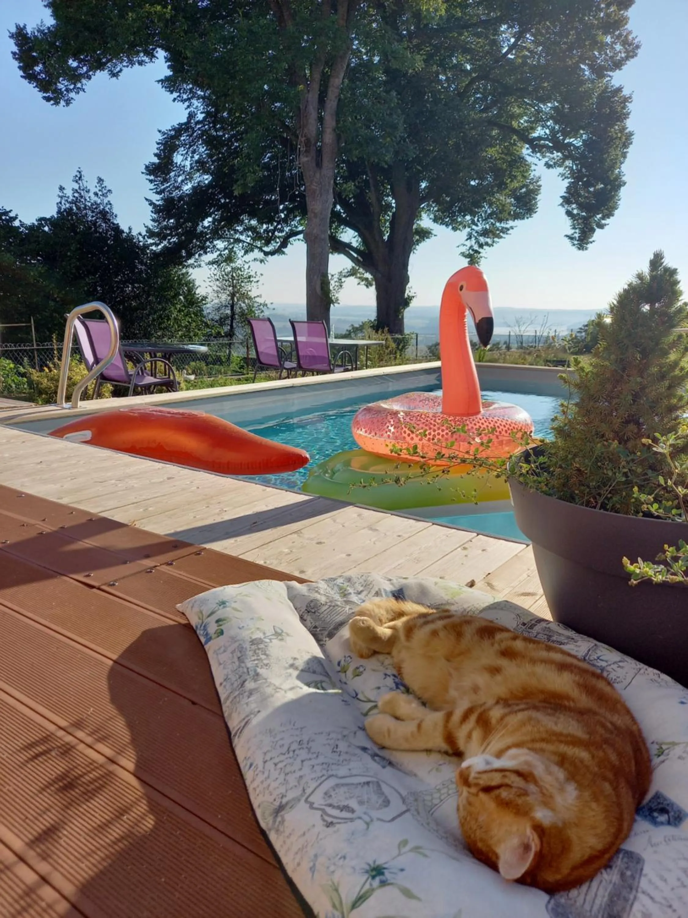 Le Belvedere des Remparts