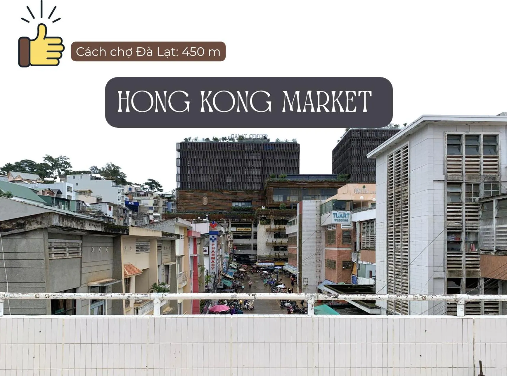 Natural landscape in Hoa Dat Da Lat Hotel