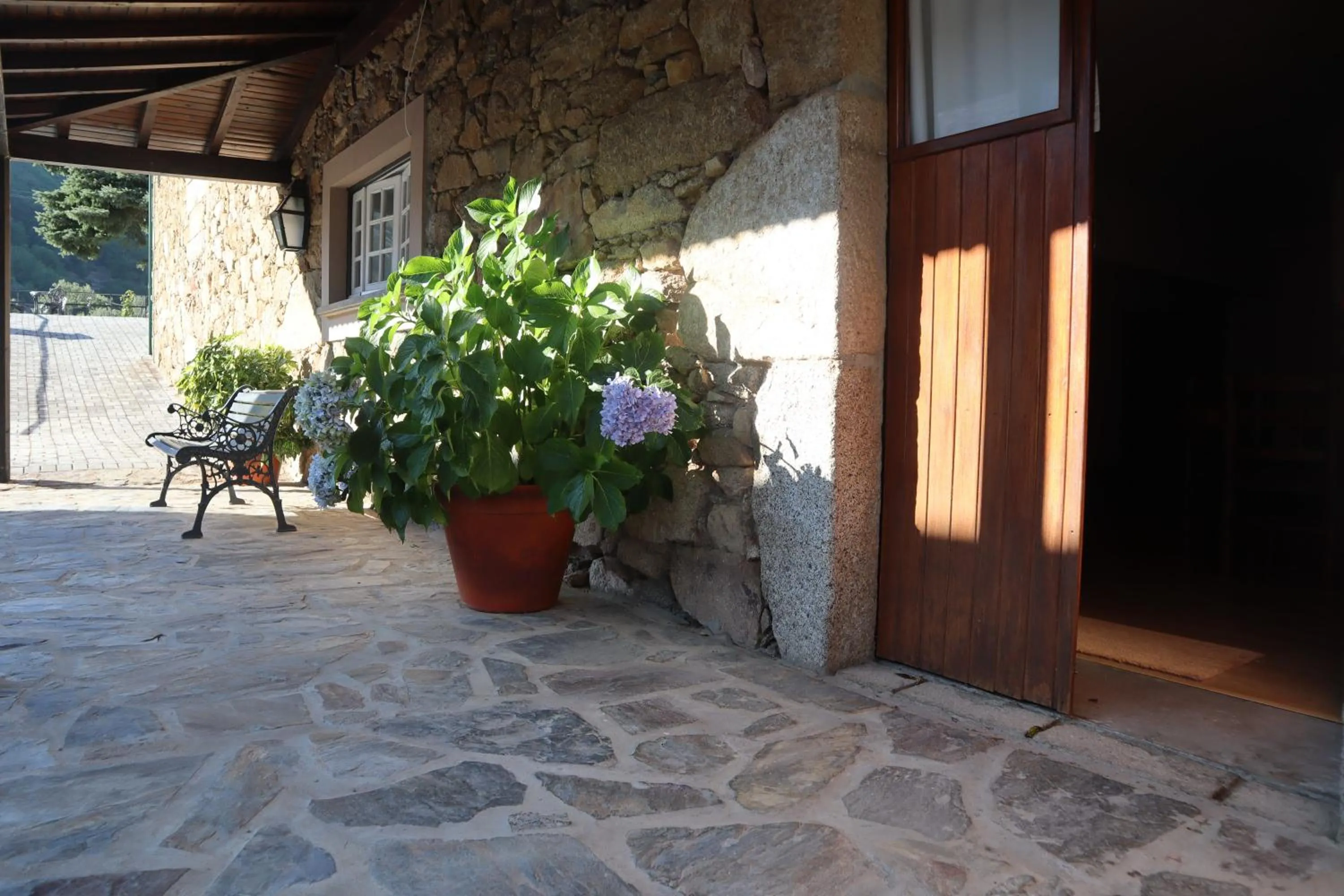 Patio in Alojamento Santa Clara